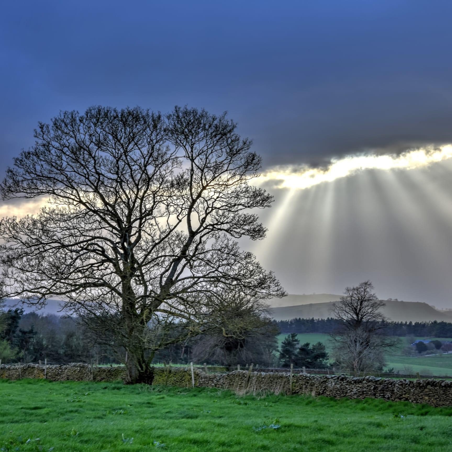 My life on a roller coaster 