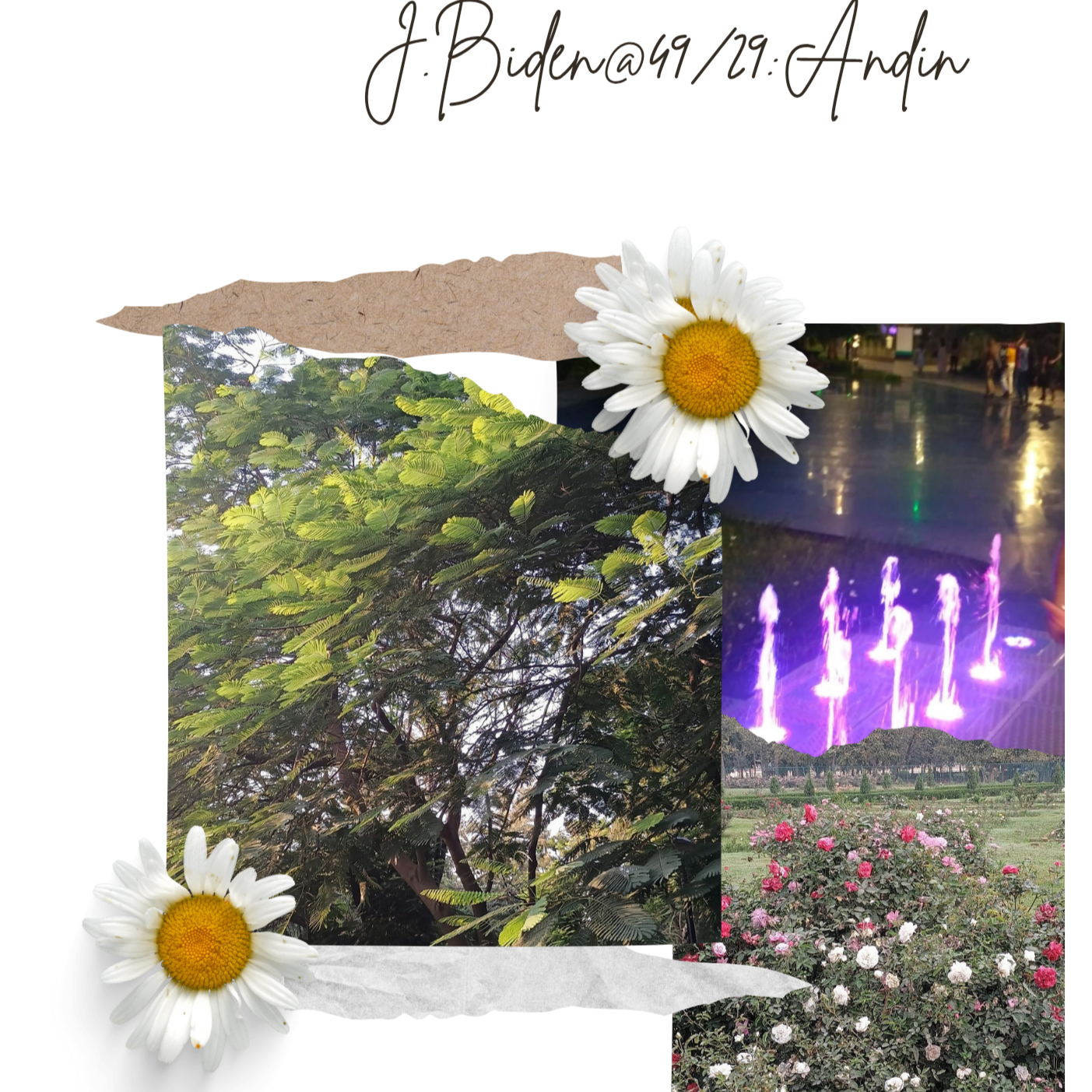 Andin J.Biden@49/29 podcast artwork