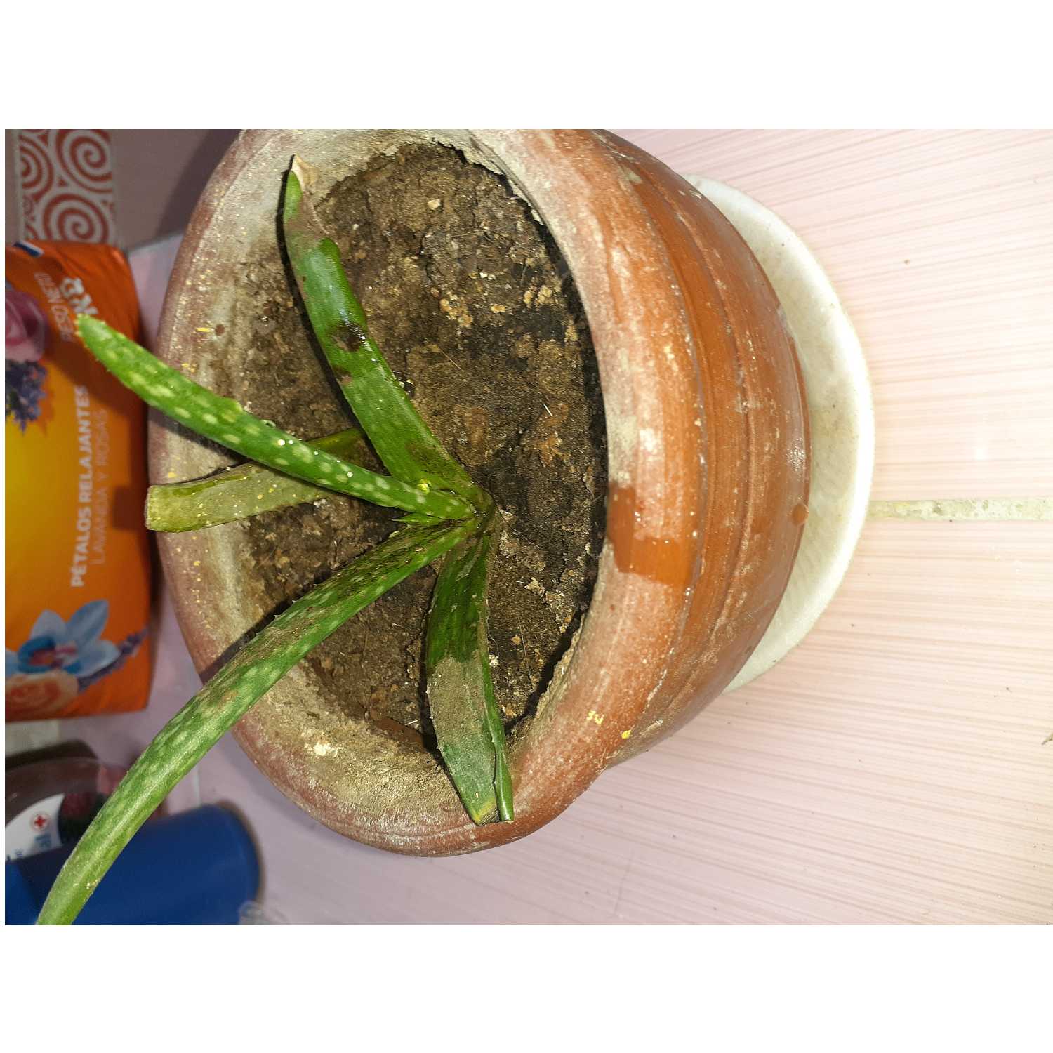 ¿Como cuidad la nuestra salud y el ambiente?