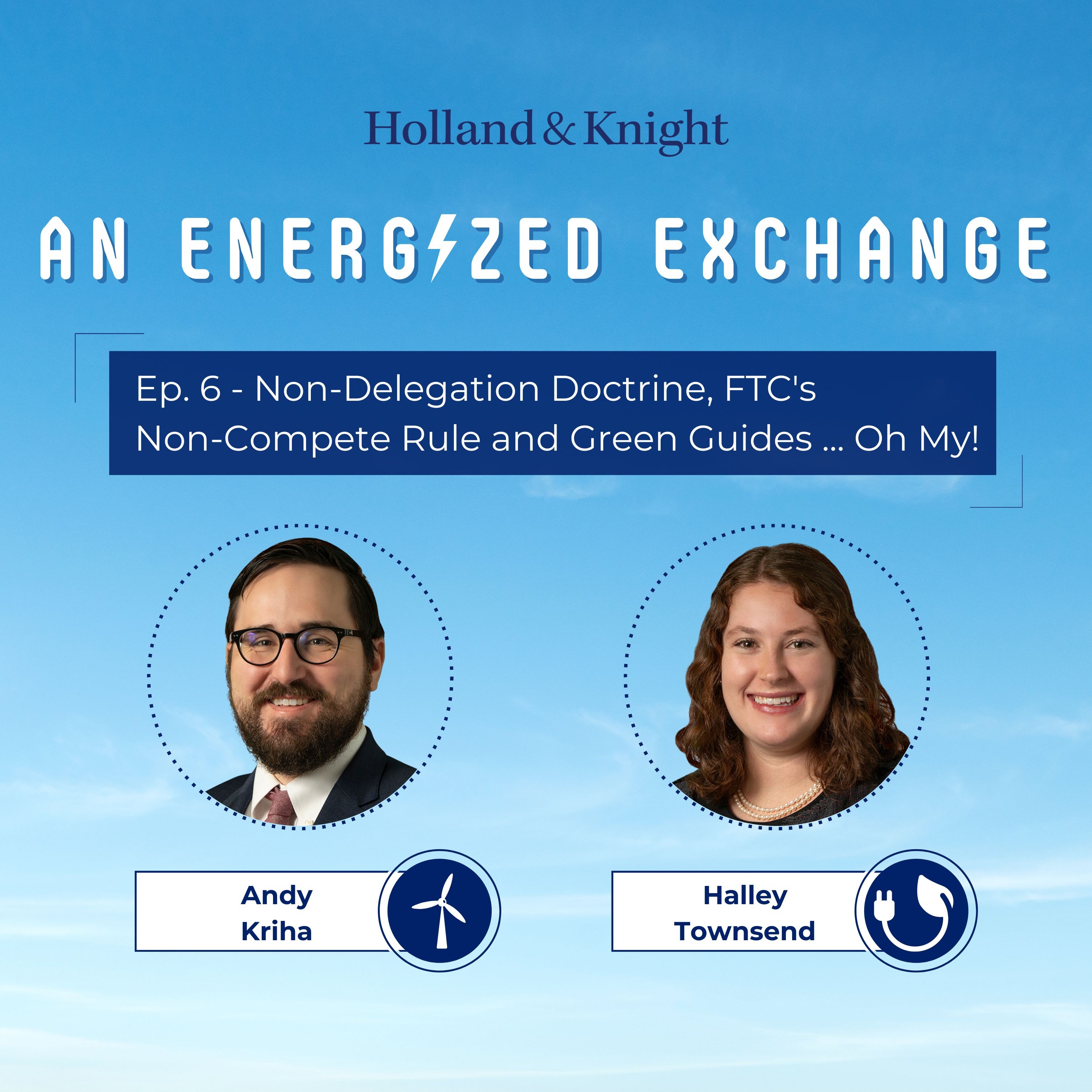 Non-Delegation Doctrine, FTC's Non-Compete Rule and Green Guides ... Oh My! episode artwork