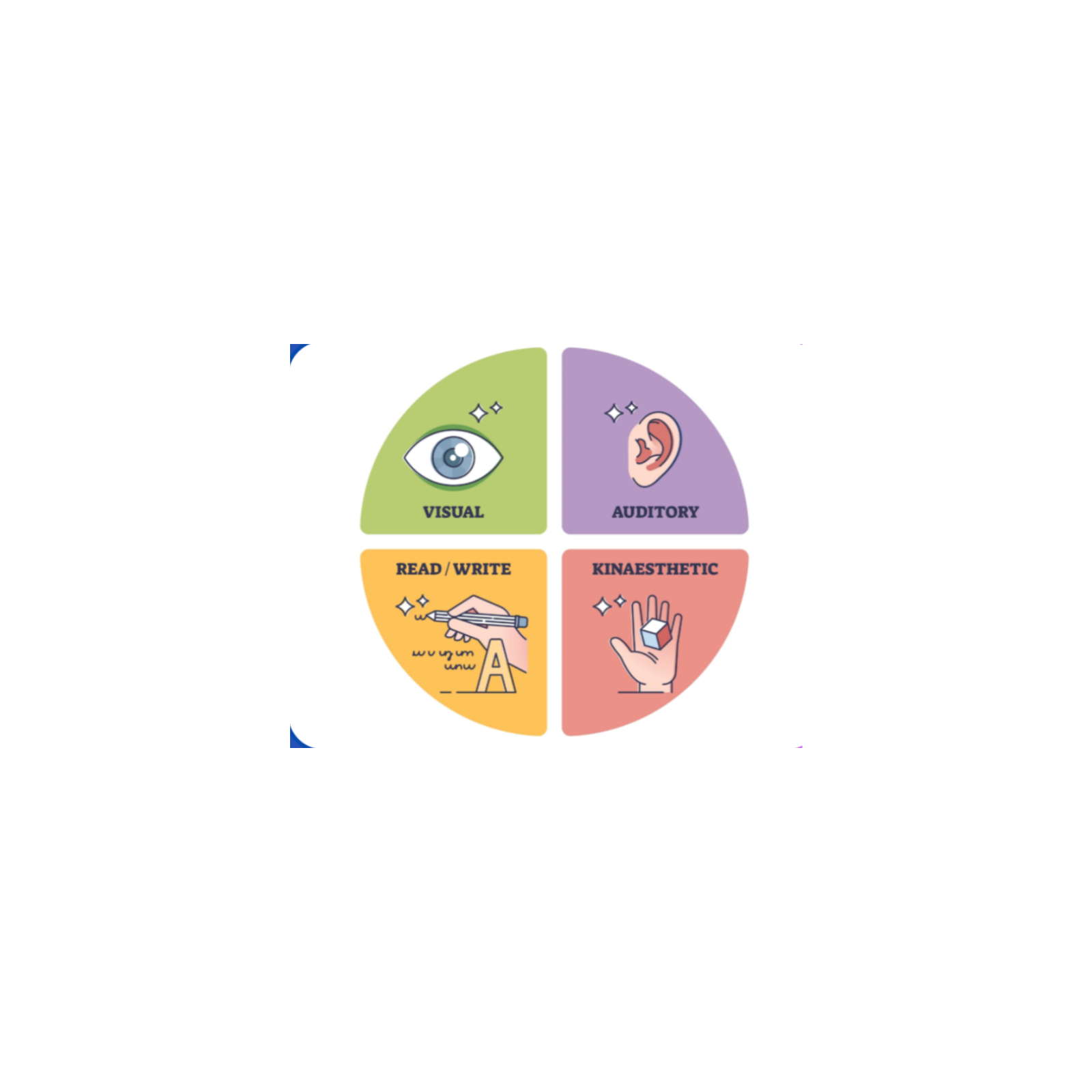 Animal Defense Mechanisms for Multiple Intelligence Learning episode artwork
