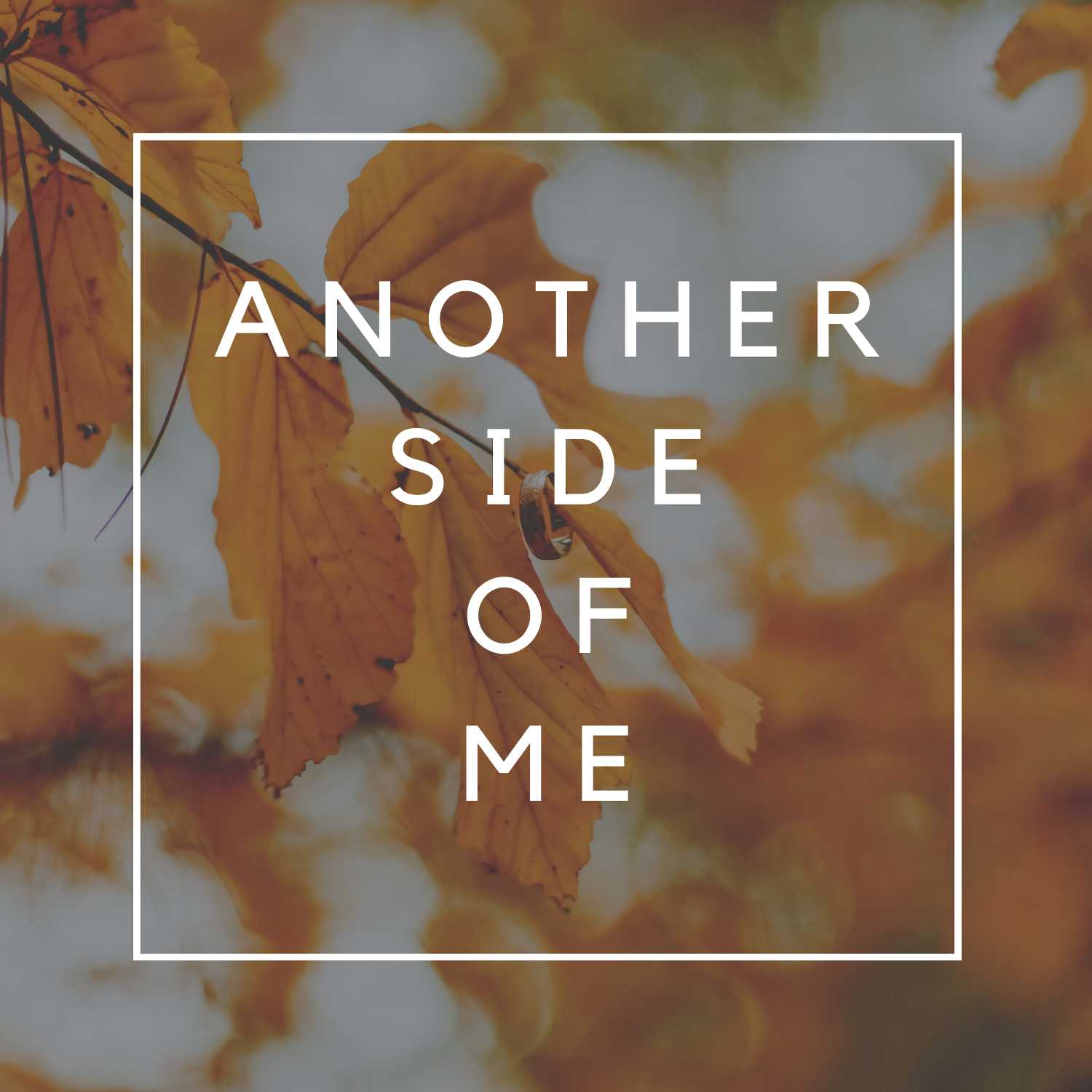 Another Side of Me