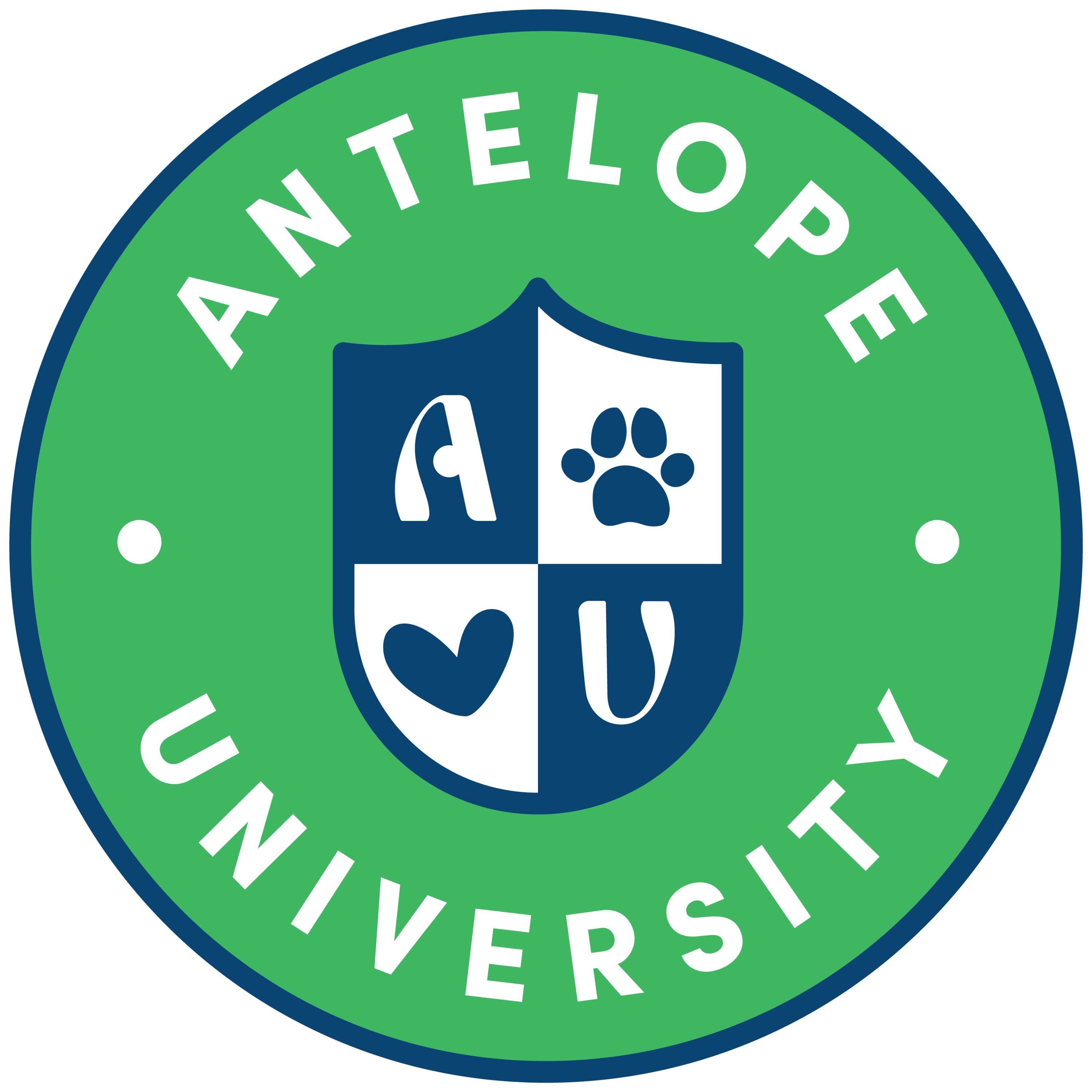 Antelope University by Antelope