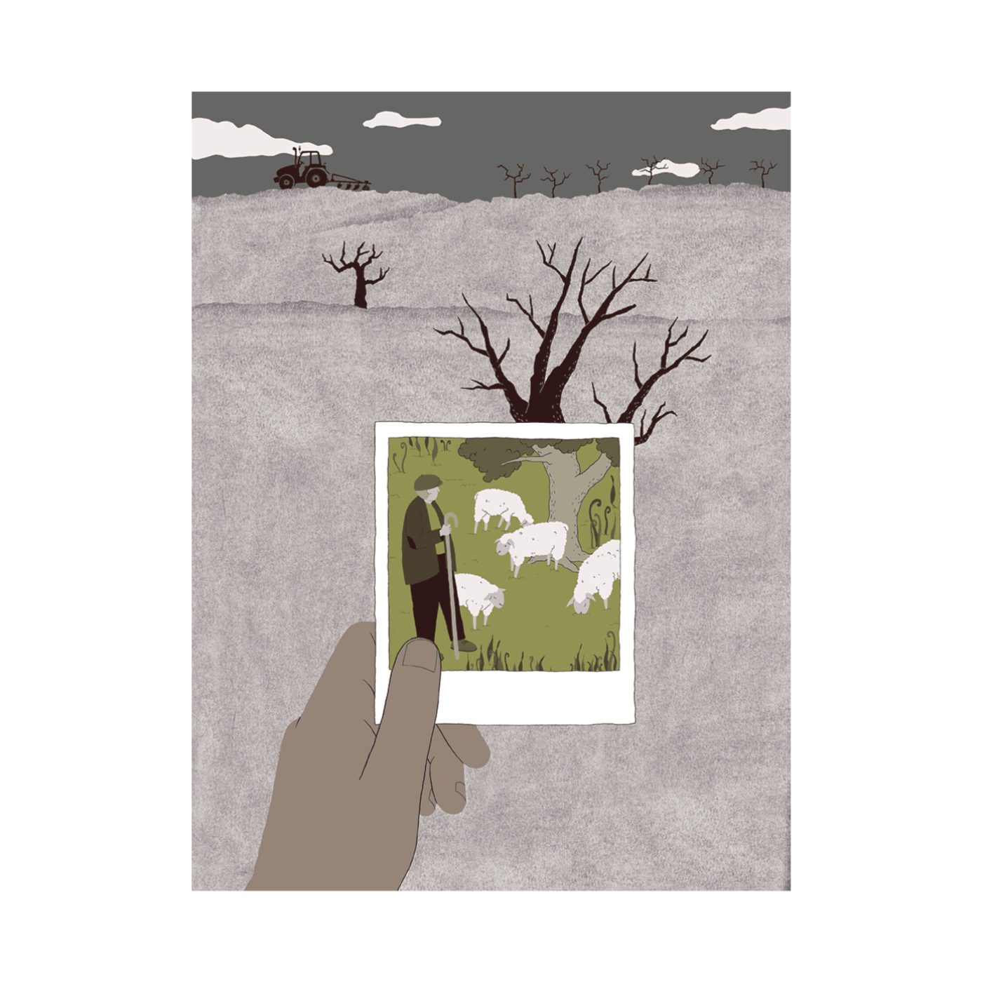 Rethinking Landscapes – ecological relations in more than human collectives as a way to think about the Anthropocene – João T. Amieira