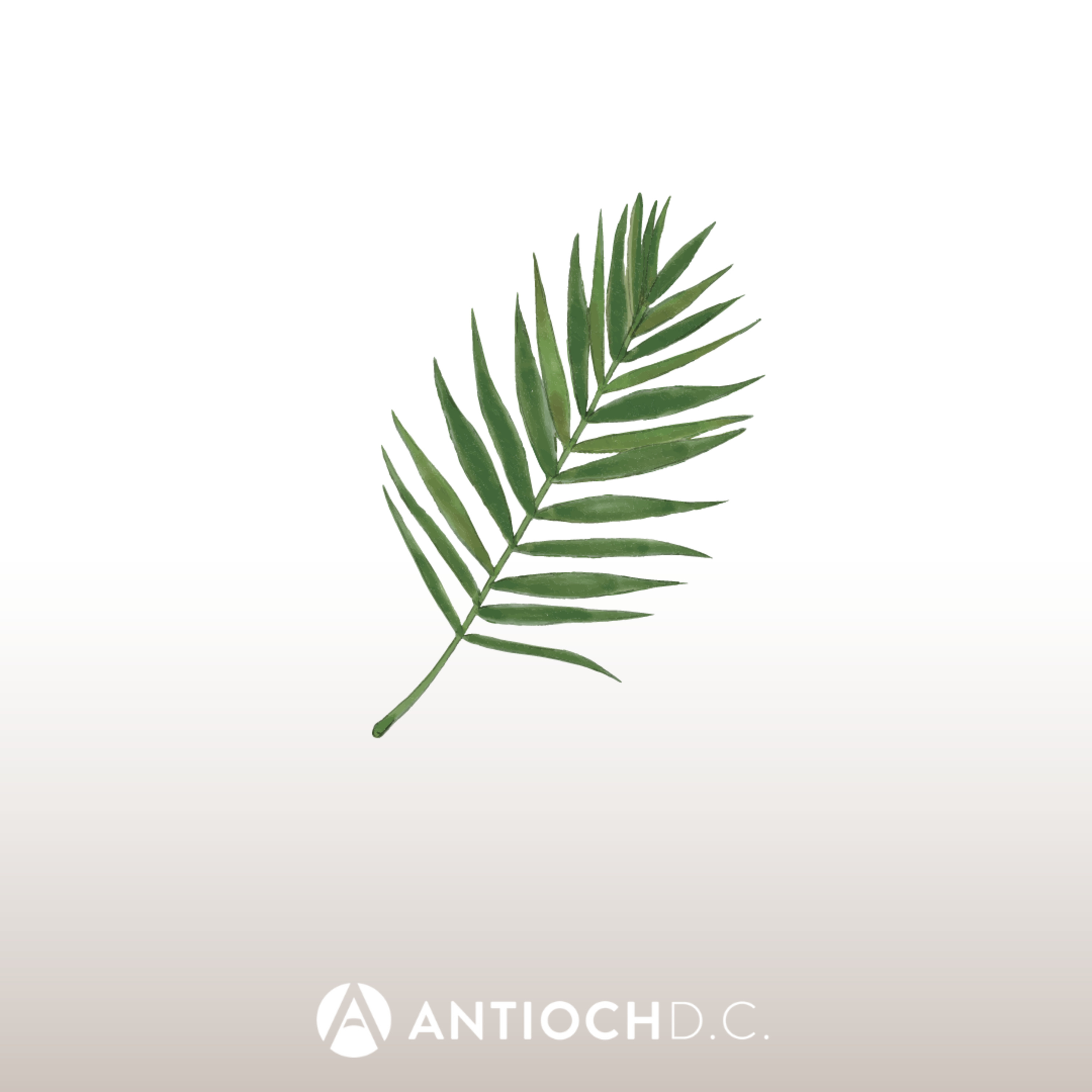 Palm Sunday - Matthew 21:1-17 | April 2nd, 2023