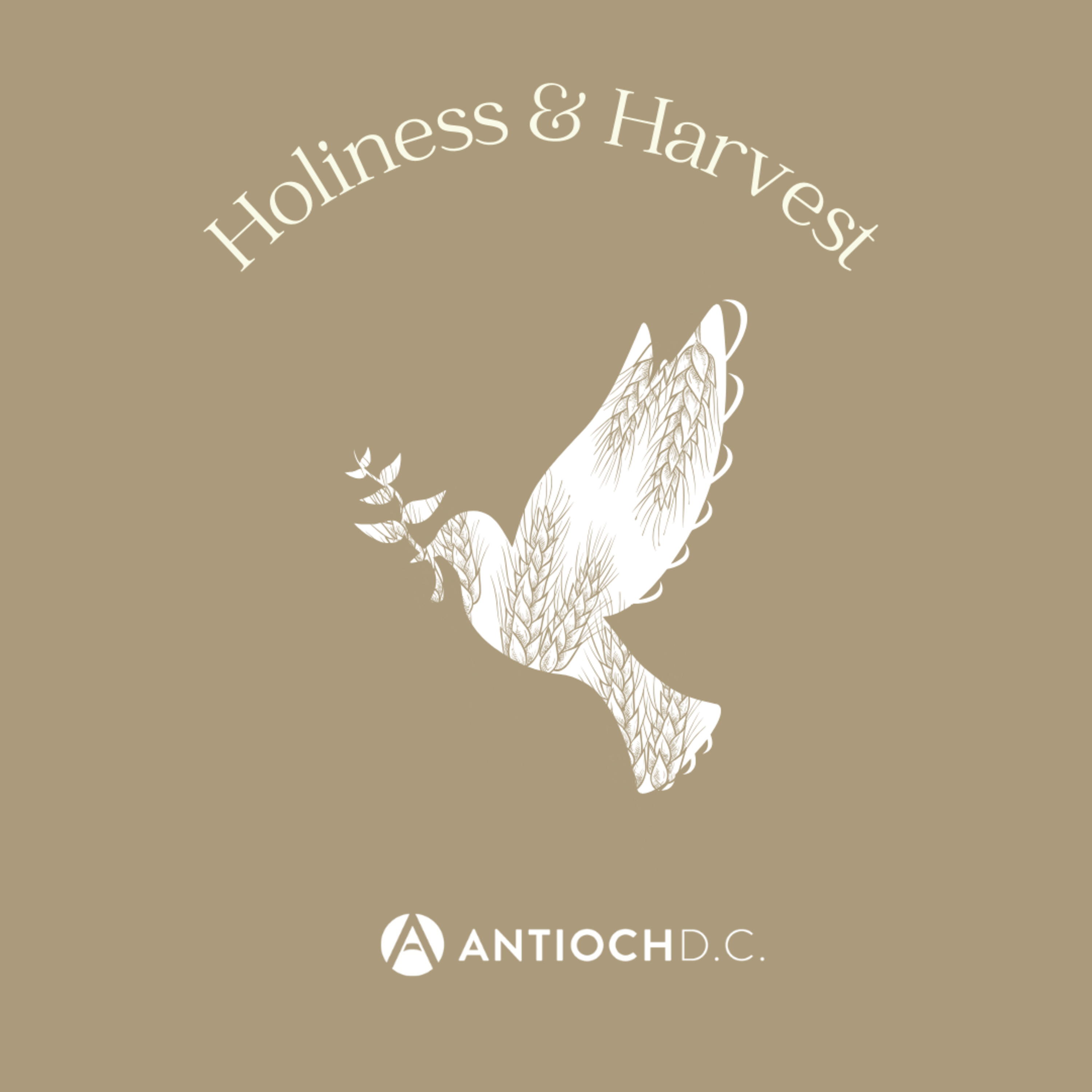 Holiness and Harvest: Work & Rest | February 4th, 2024