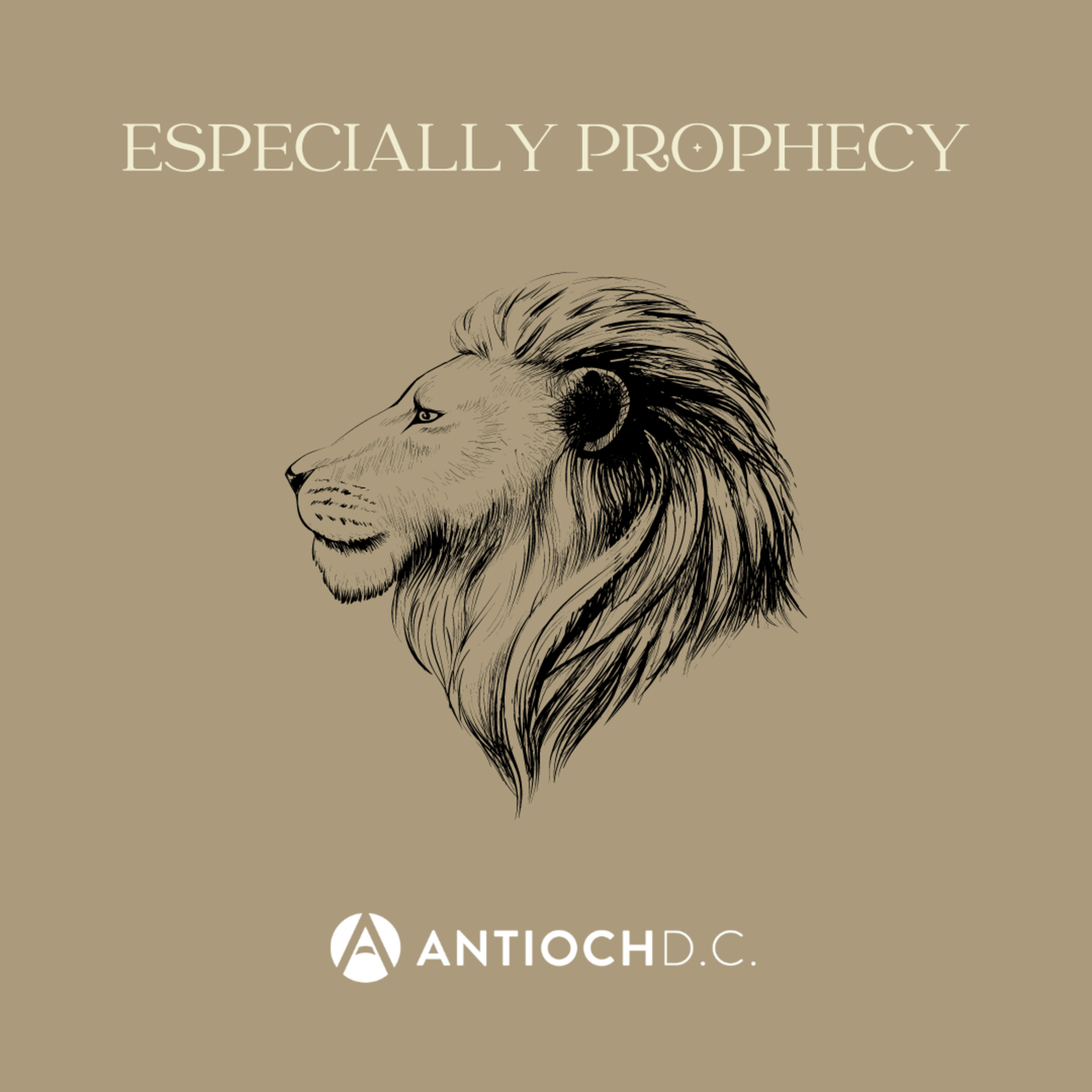 Especially Prophecy - Protocols | June 23rd, 2024