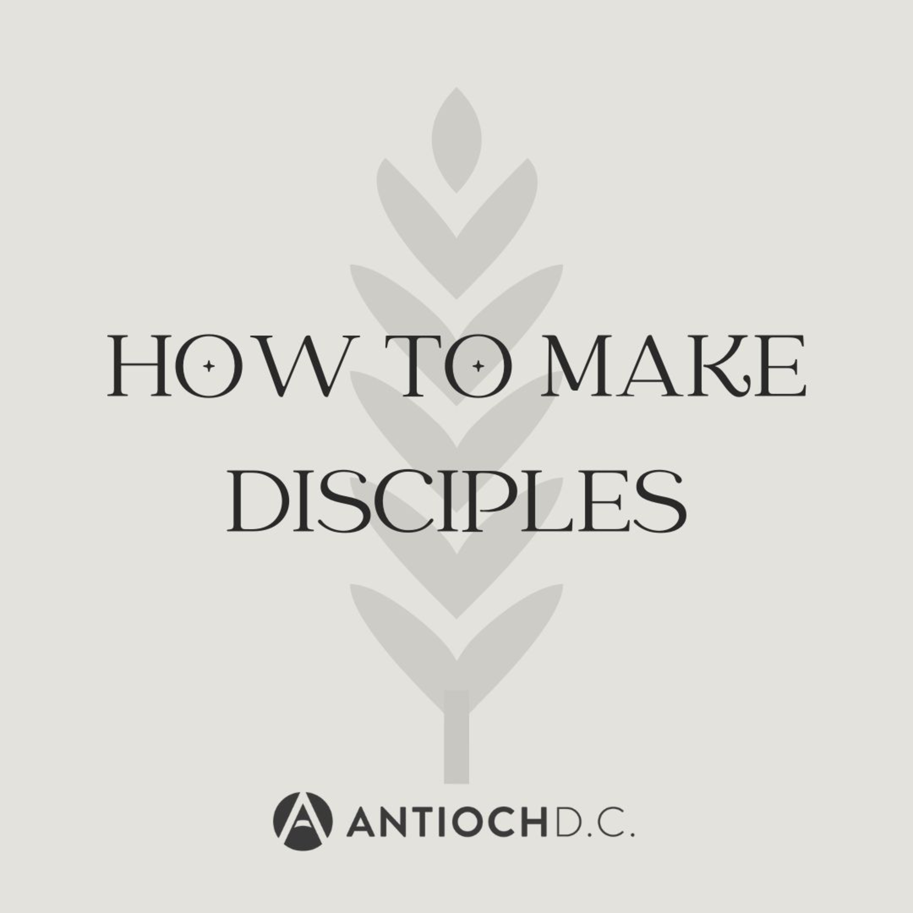 How to Make Disciples: Bible | February 9th, 2025