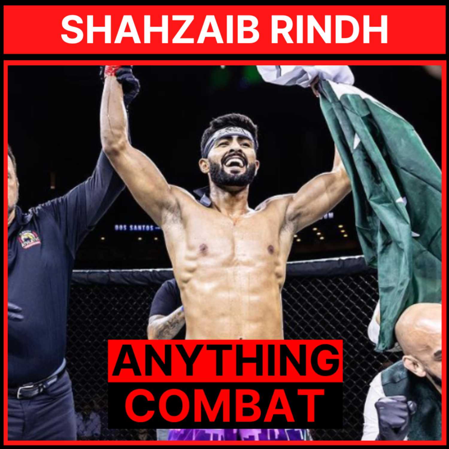 Anything Combat