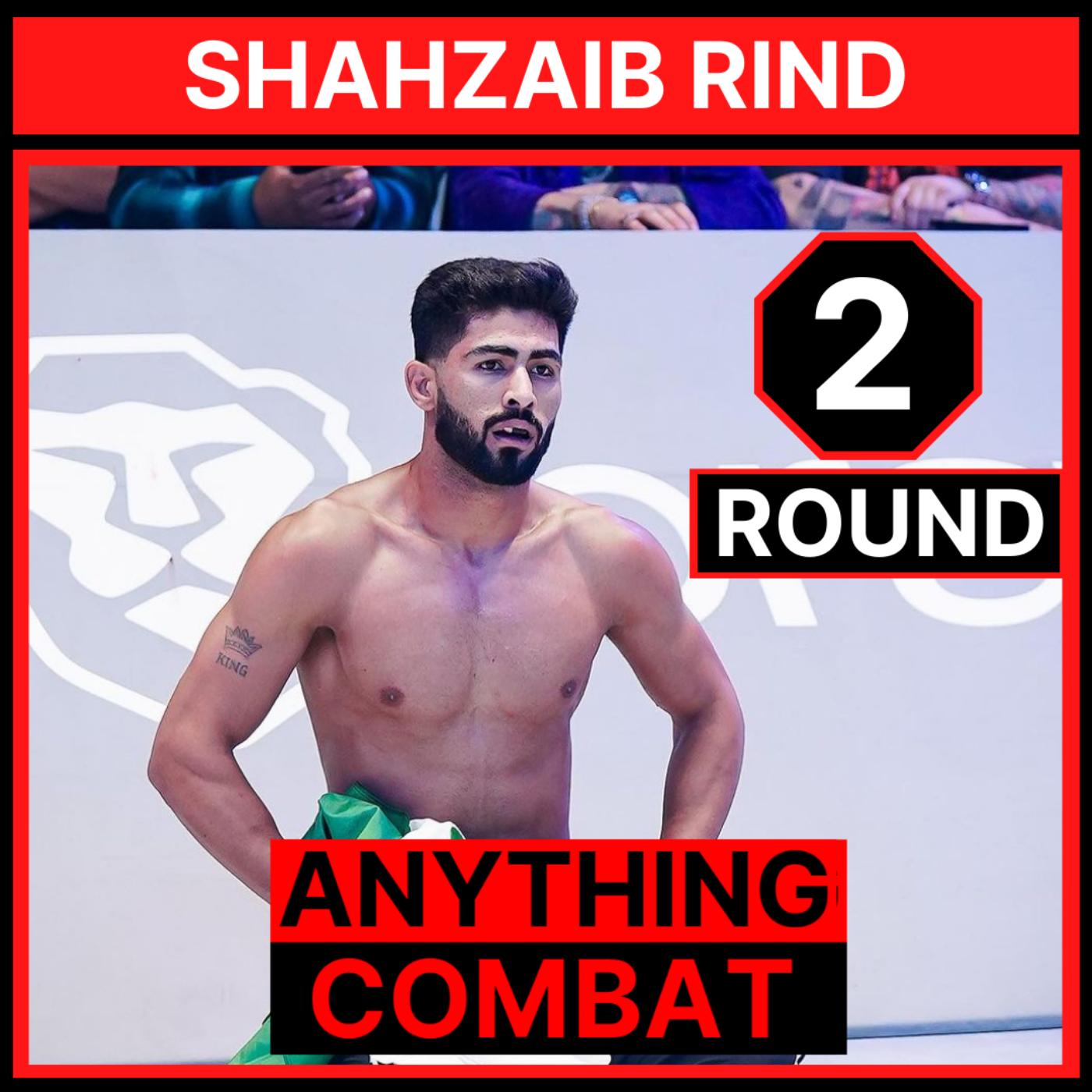 Anything Combat