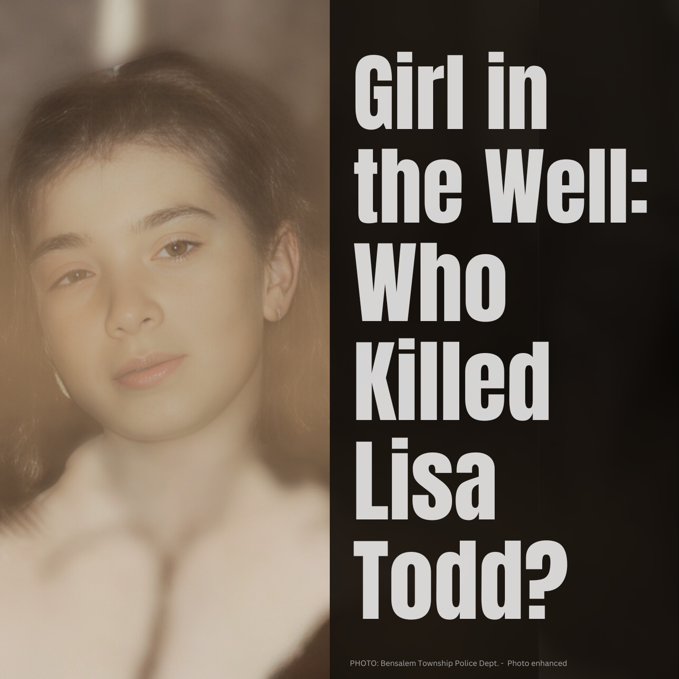 Girl in the Well:  Who Killed Lisa Todd?