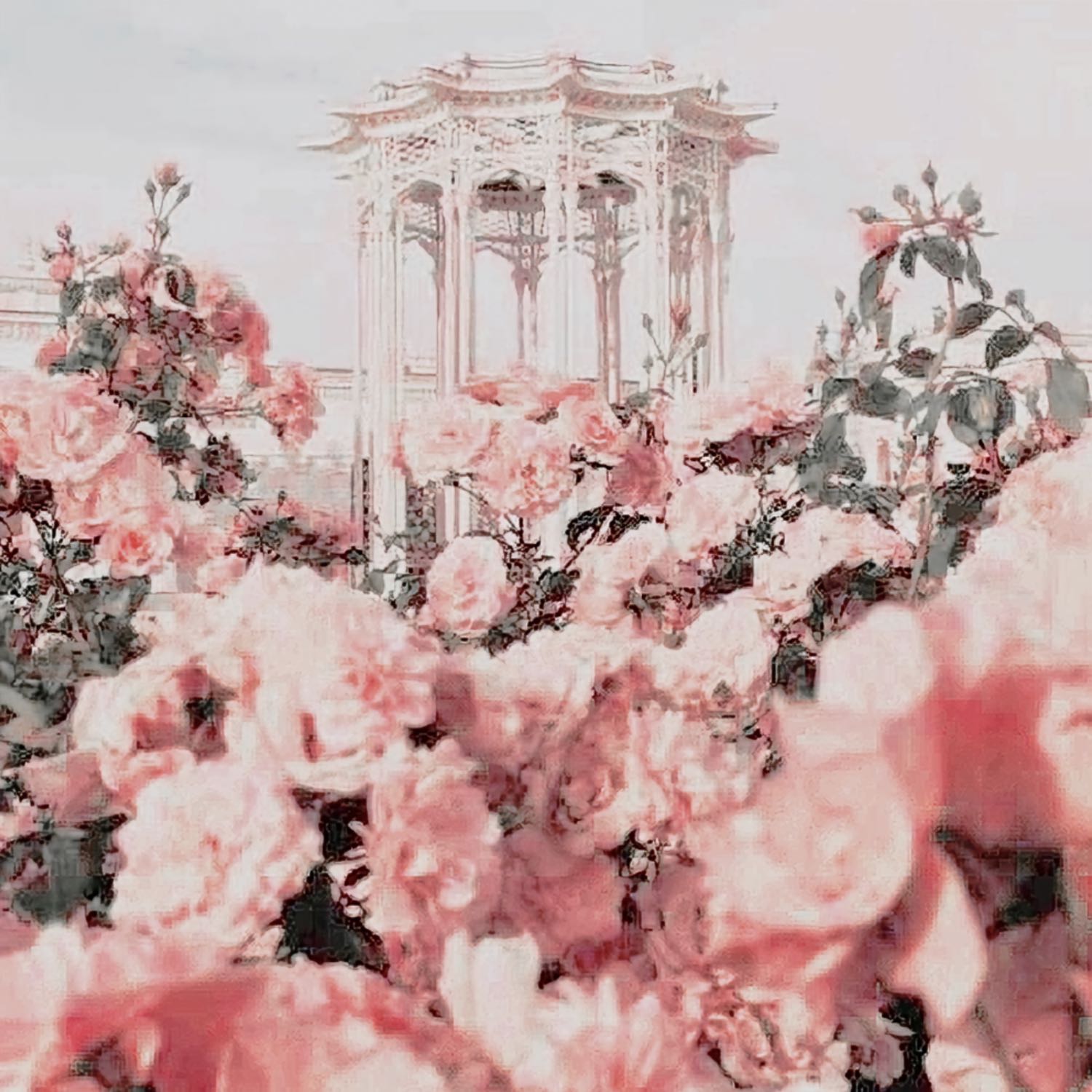 Aphrodite\'s Den