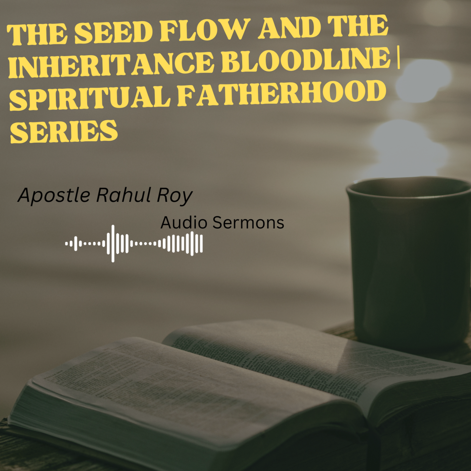 The Seed flow and the Inheritance bloodline | Spiritual fatherhood series | Apostle Rahul Roy episode artwork