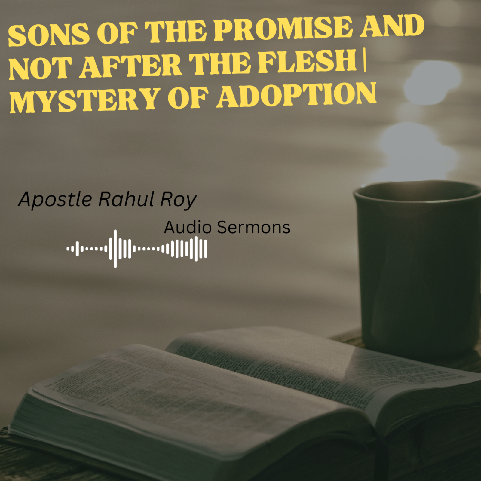 Sons of the promise and not after the flesh | Mystery of adoption | Apostle Rahul Roy episode artwork
