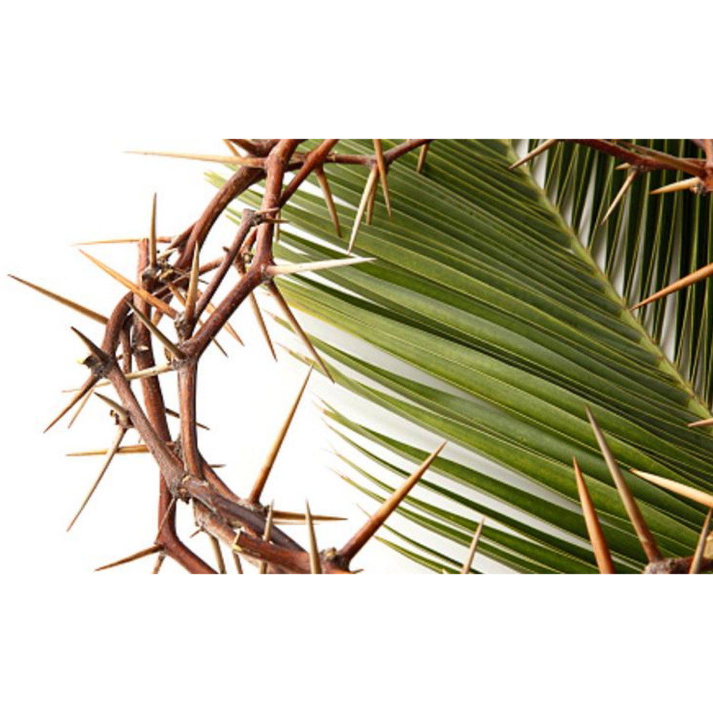 Calvary Lutheran Church Sermon Podcasts
