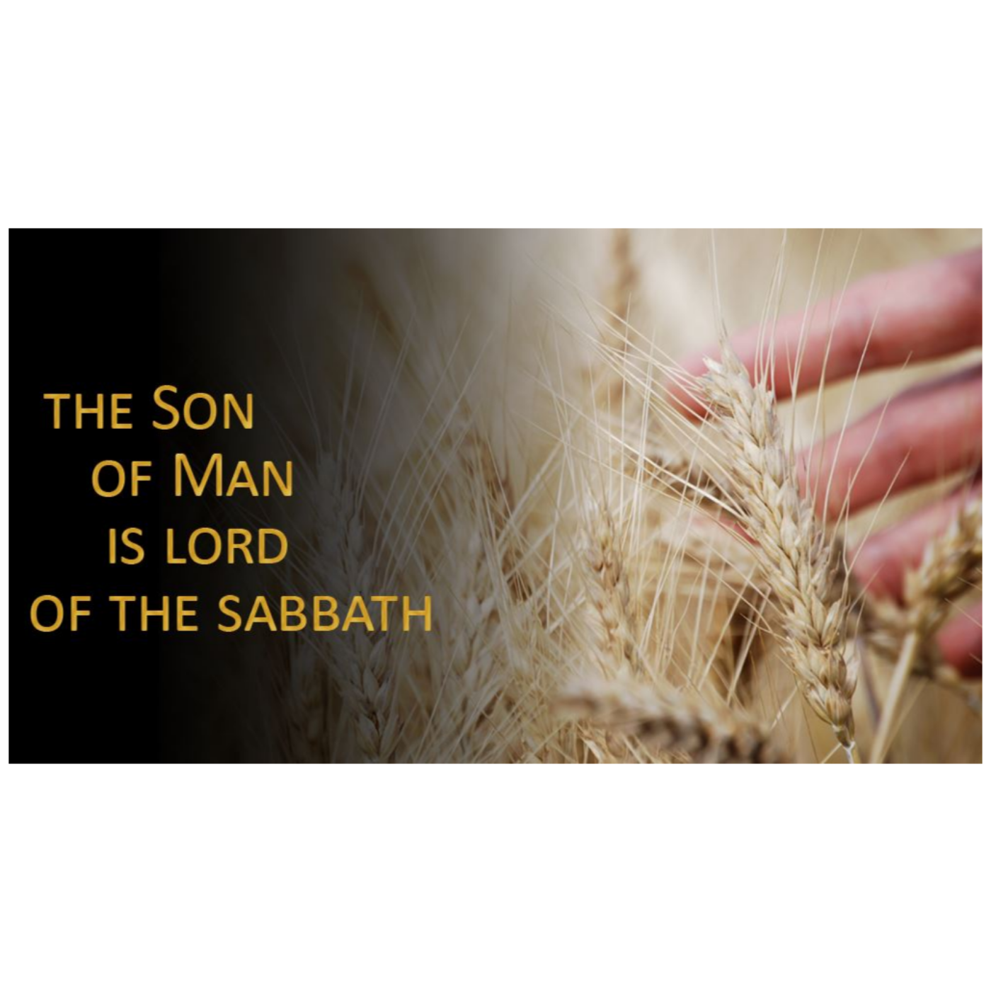 Calvary Lutheran Church Sermon Podcasts