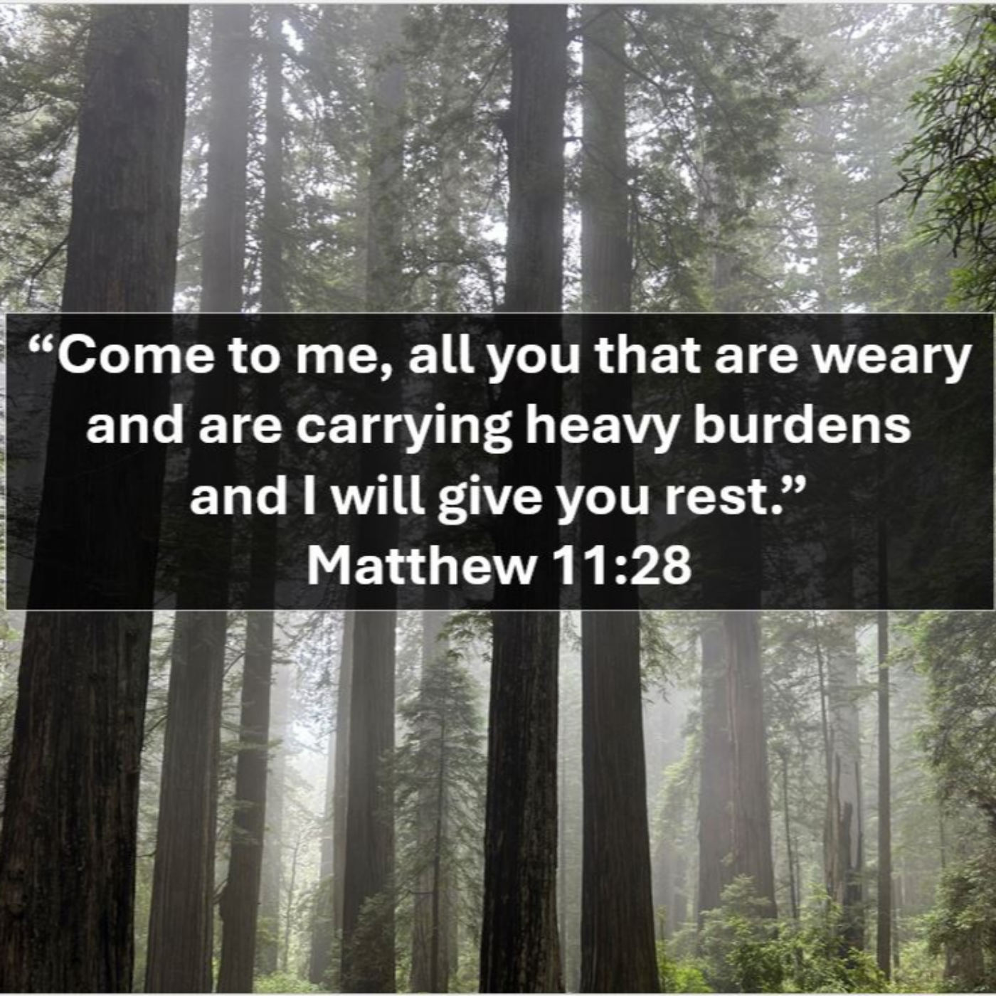 Calvary Lutheran Church Sermon Podcasts
