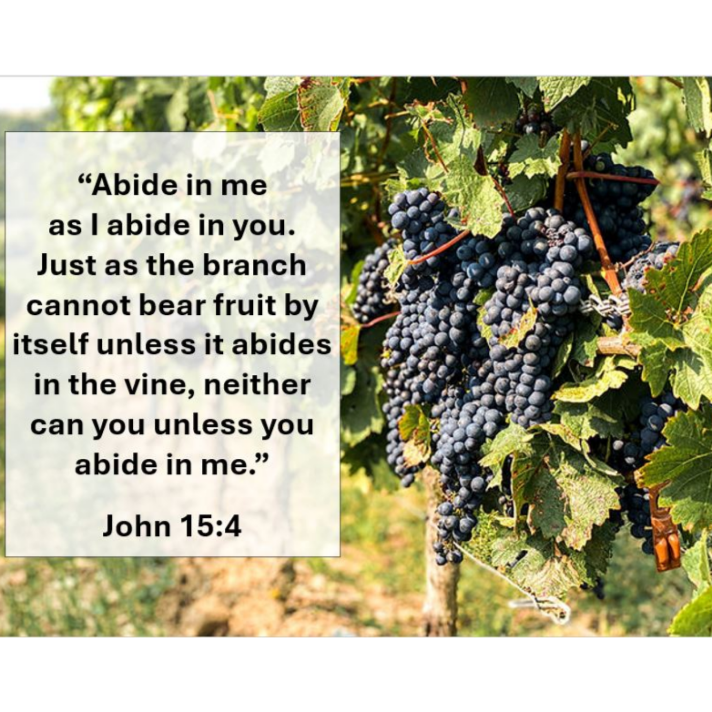 Calvary Lutheran Church Sermon Podcasts
