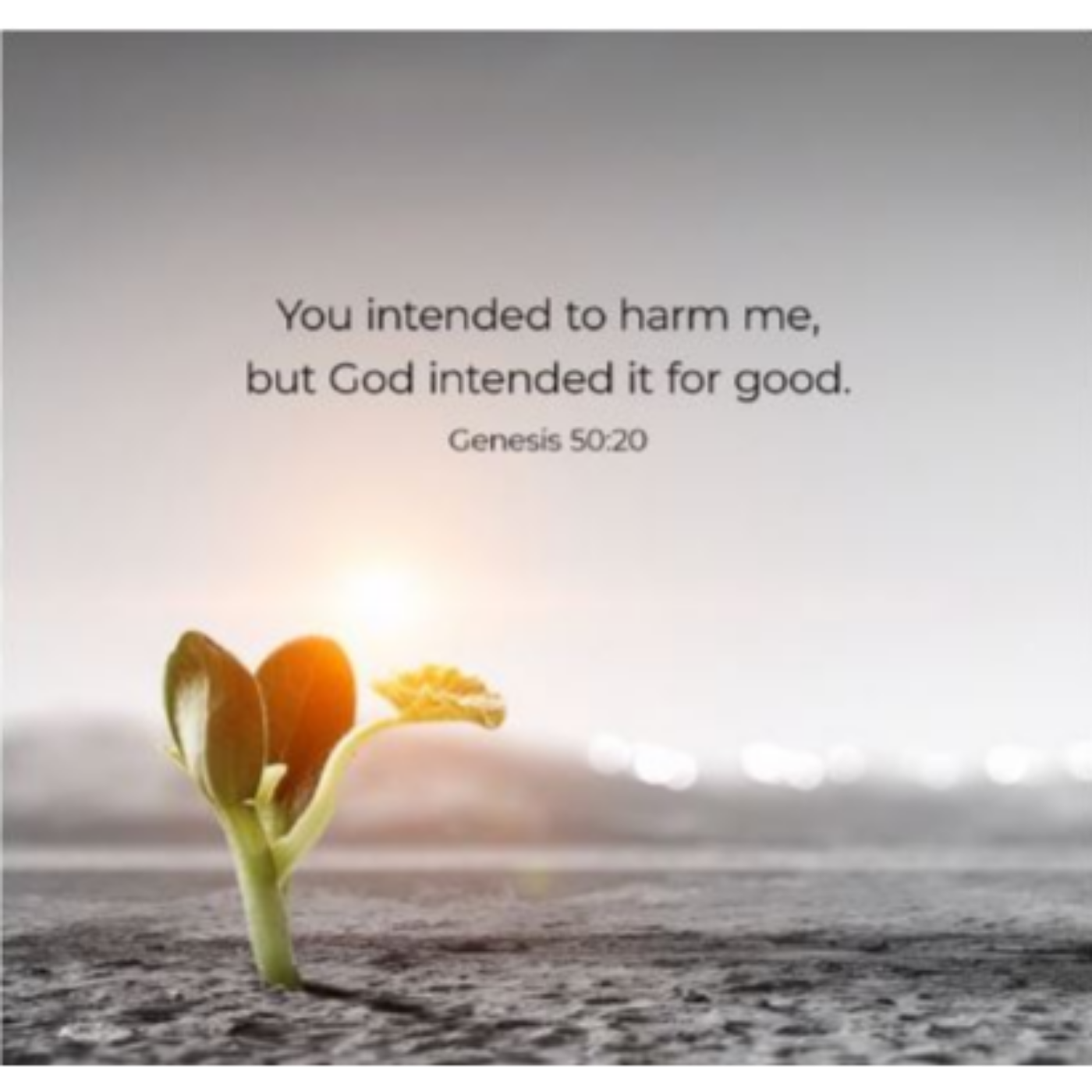 Calvary Lutheran Church Sermon Podcasts