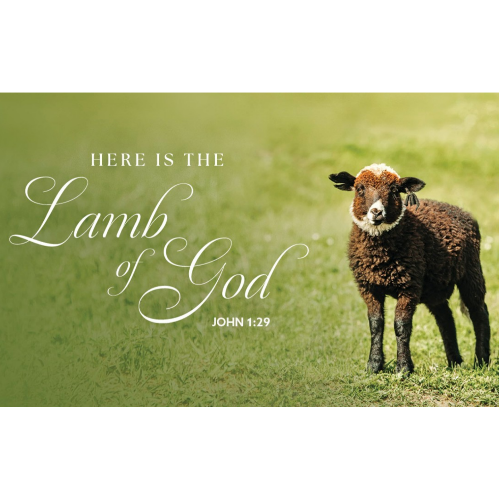 Calvary Lutheran Church Perham MN   Living in Grace: Lutheran Church Sermons of Hope and Love