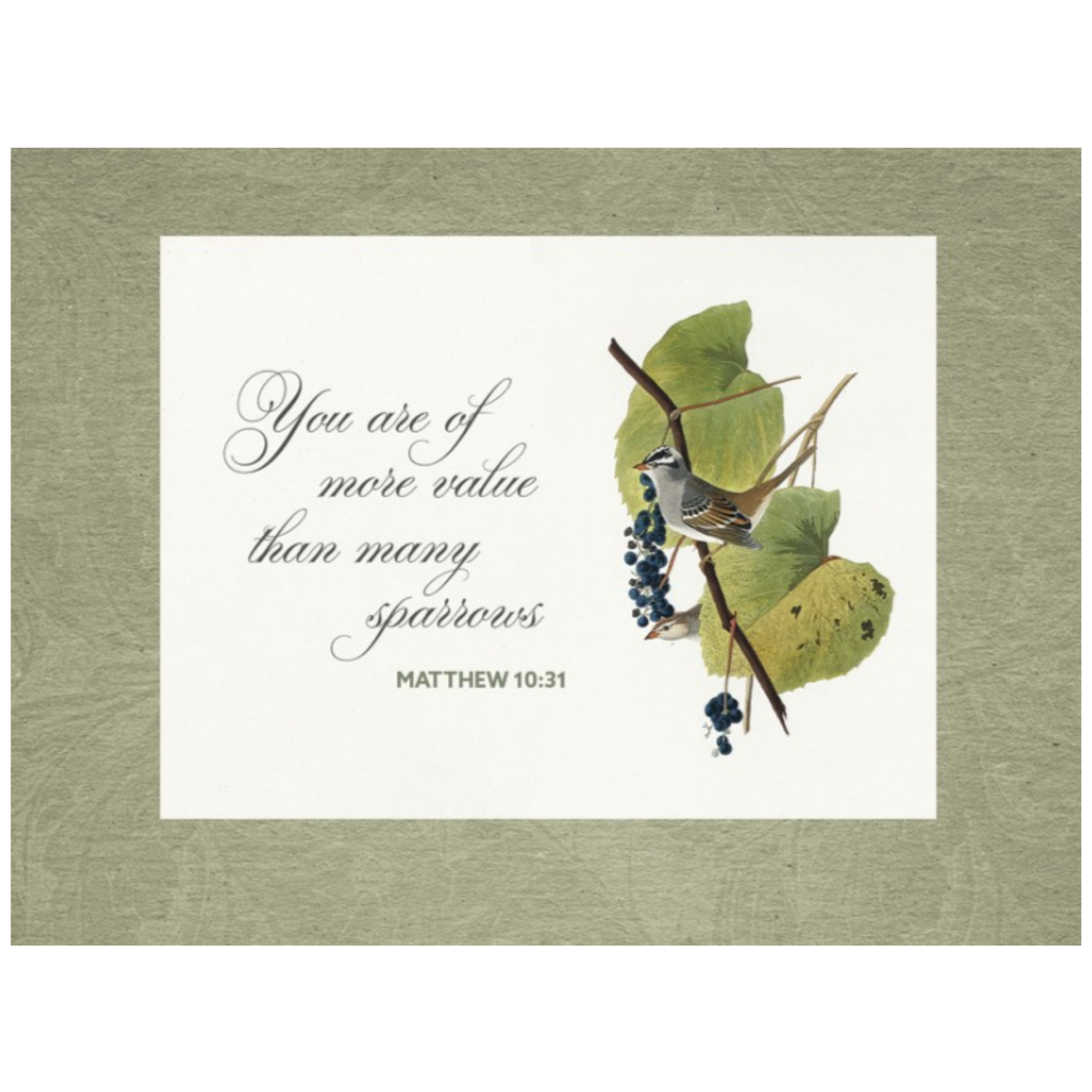 4th Sunday after Pentecost - Pastor Eric Clapp - Calvary Lutheran episode artwork