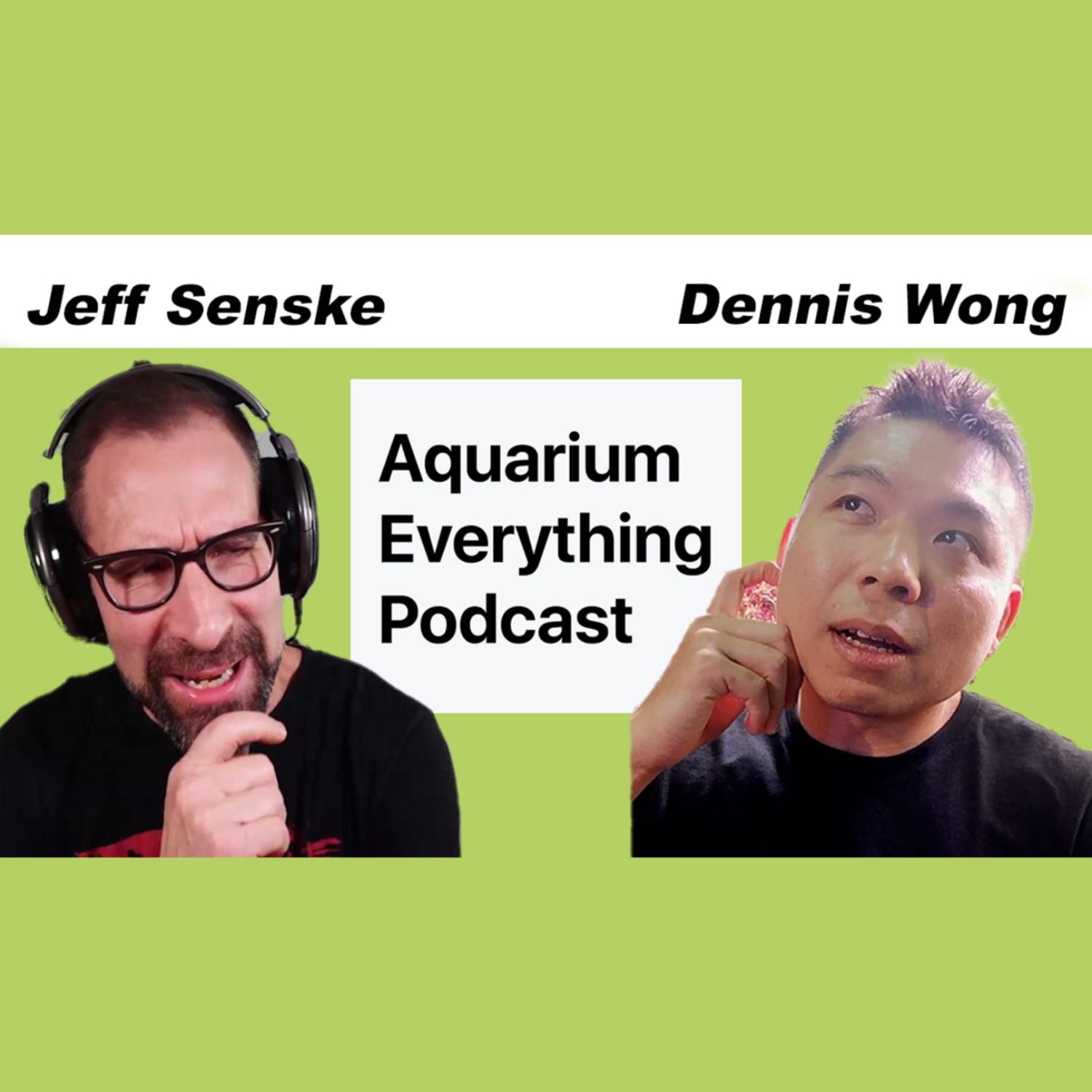 Dennis Wong of 2Hour Aquarist