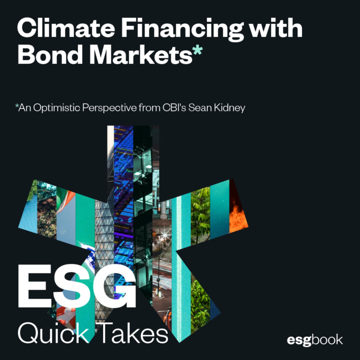 Climate Financing with Bond Markets: An Optimistic Perspective from CBI's Sean Kidney