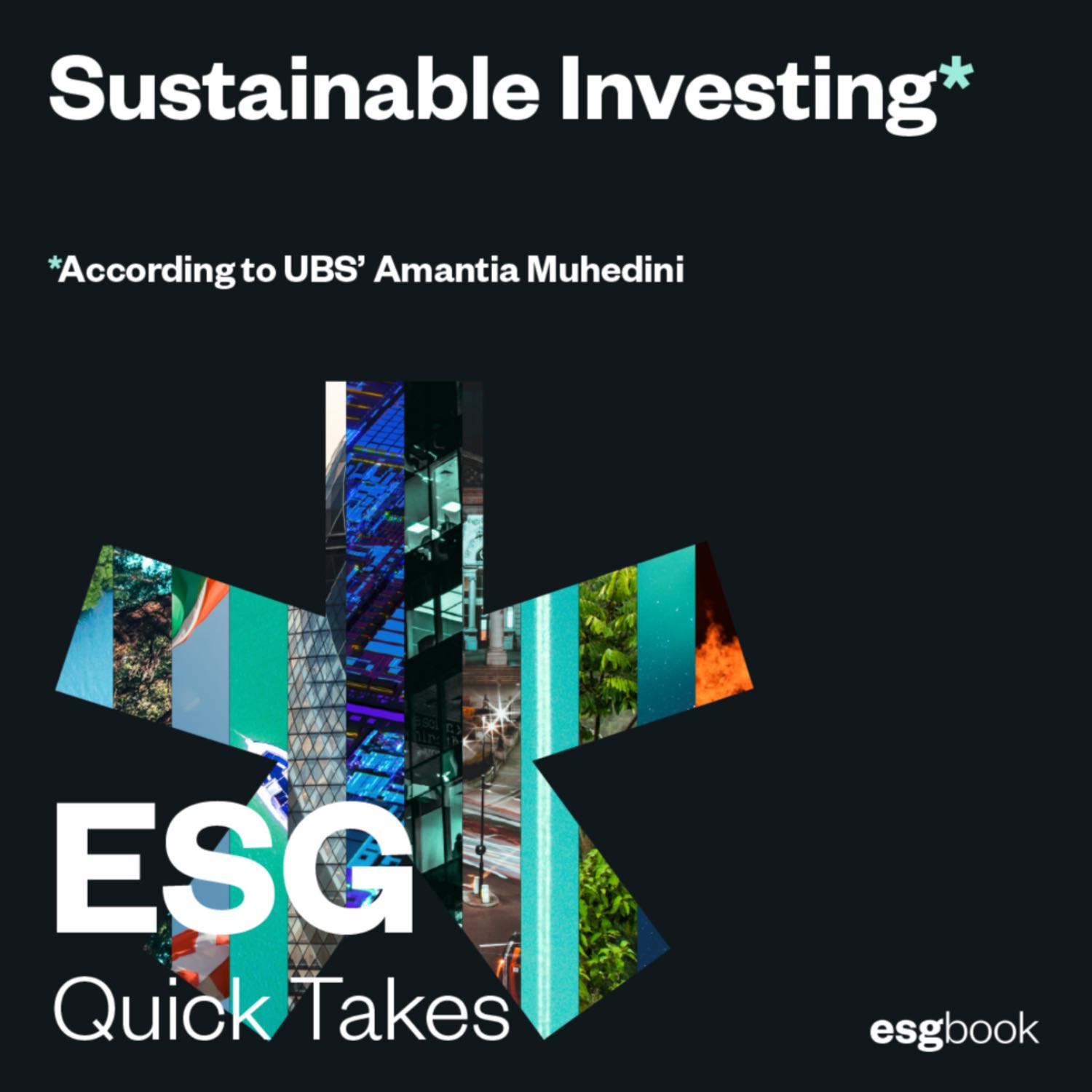 Sustainable investing: According to UBS’ Amantia Muhedini