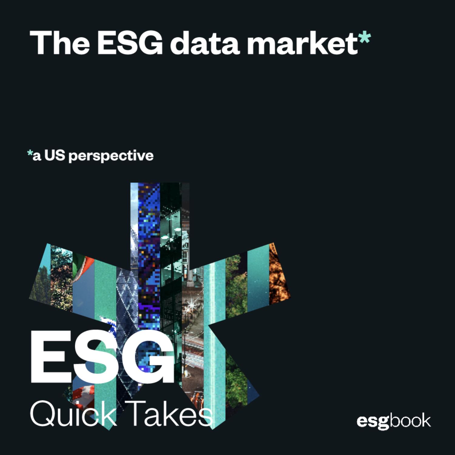 The ESG Data Market: A US Perspective