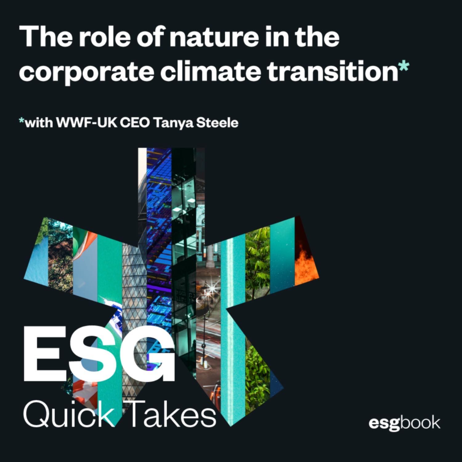 The role of nature in the corporate climate transition: with WWF-UK CEO Tanya Steele