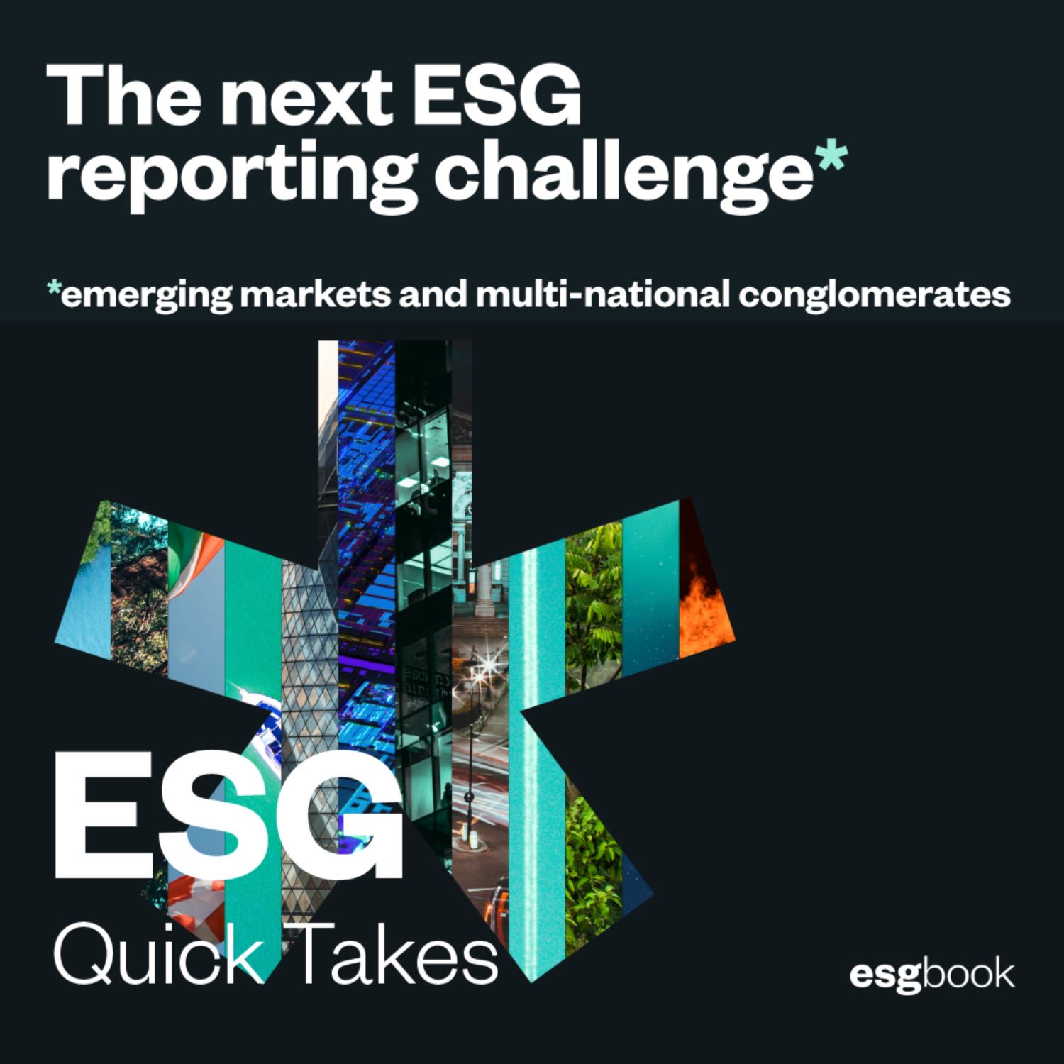 The next ESG reporting challenge: emerging markets and multi-national conglomerates