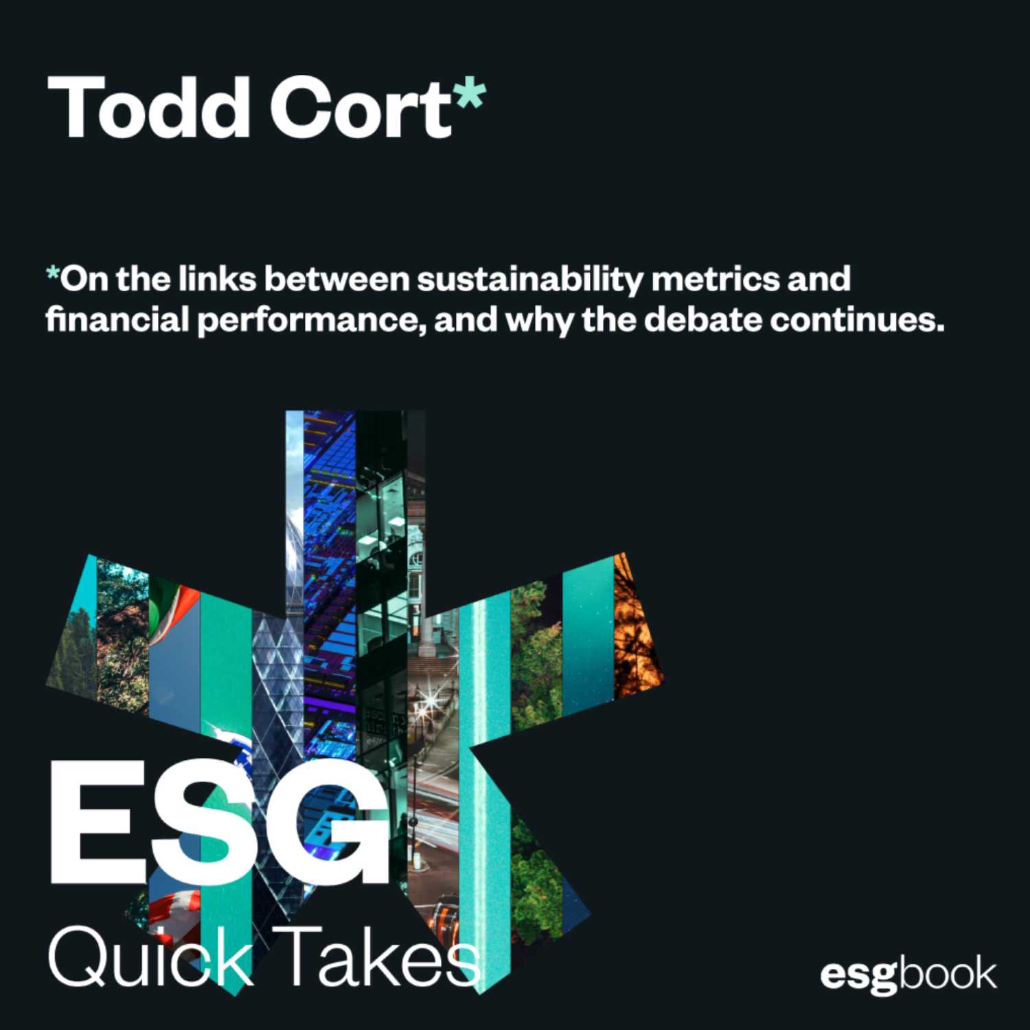 Todd Cort on the links between sustainability metrics and financial performance, and why the debate continues.
