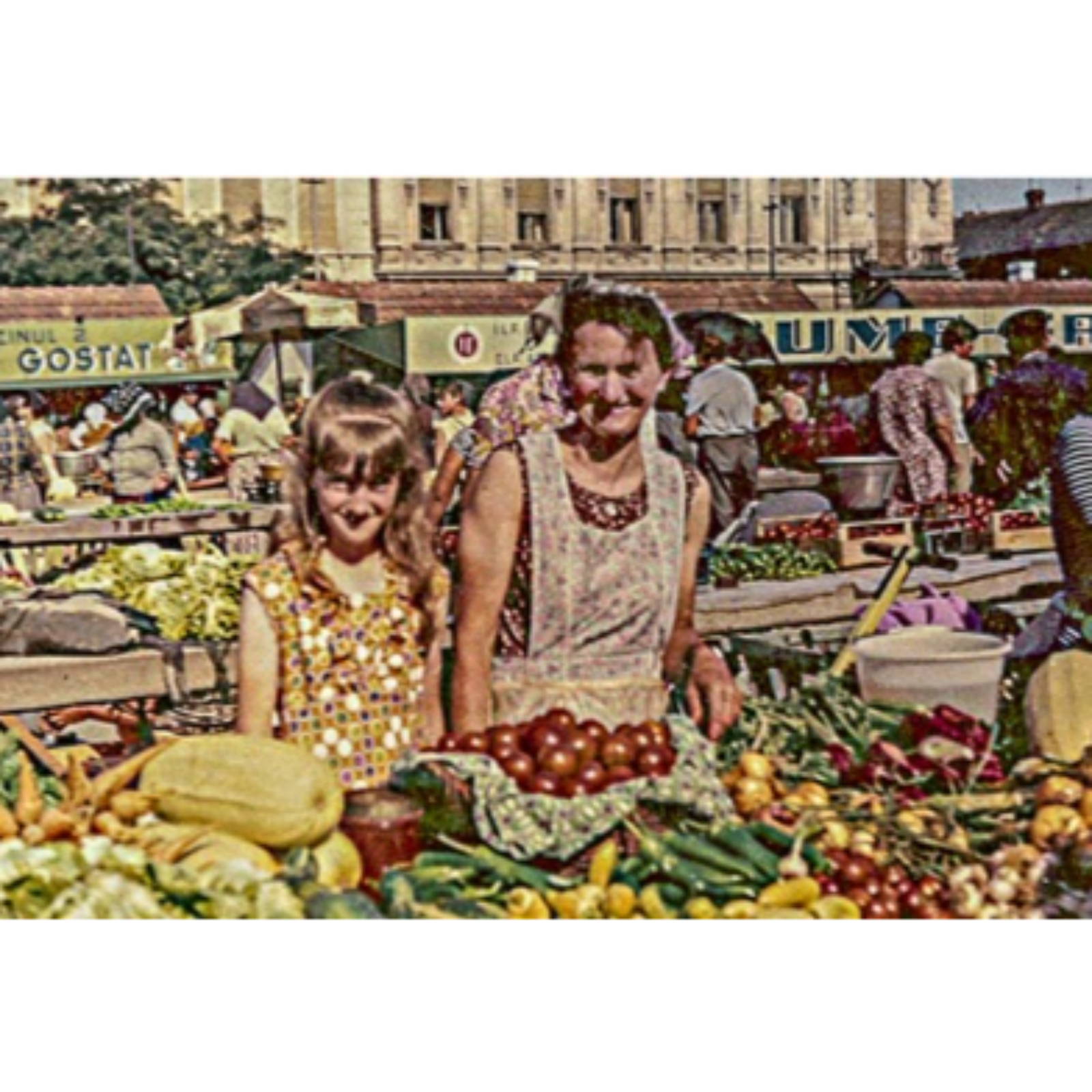 Discover Arad: a Hidden Gem of Central Europe