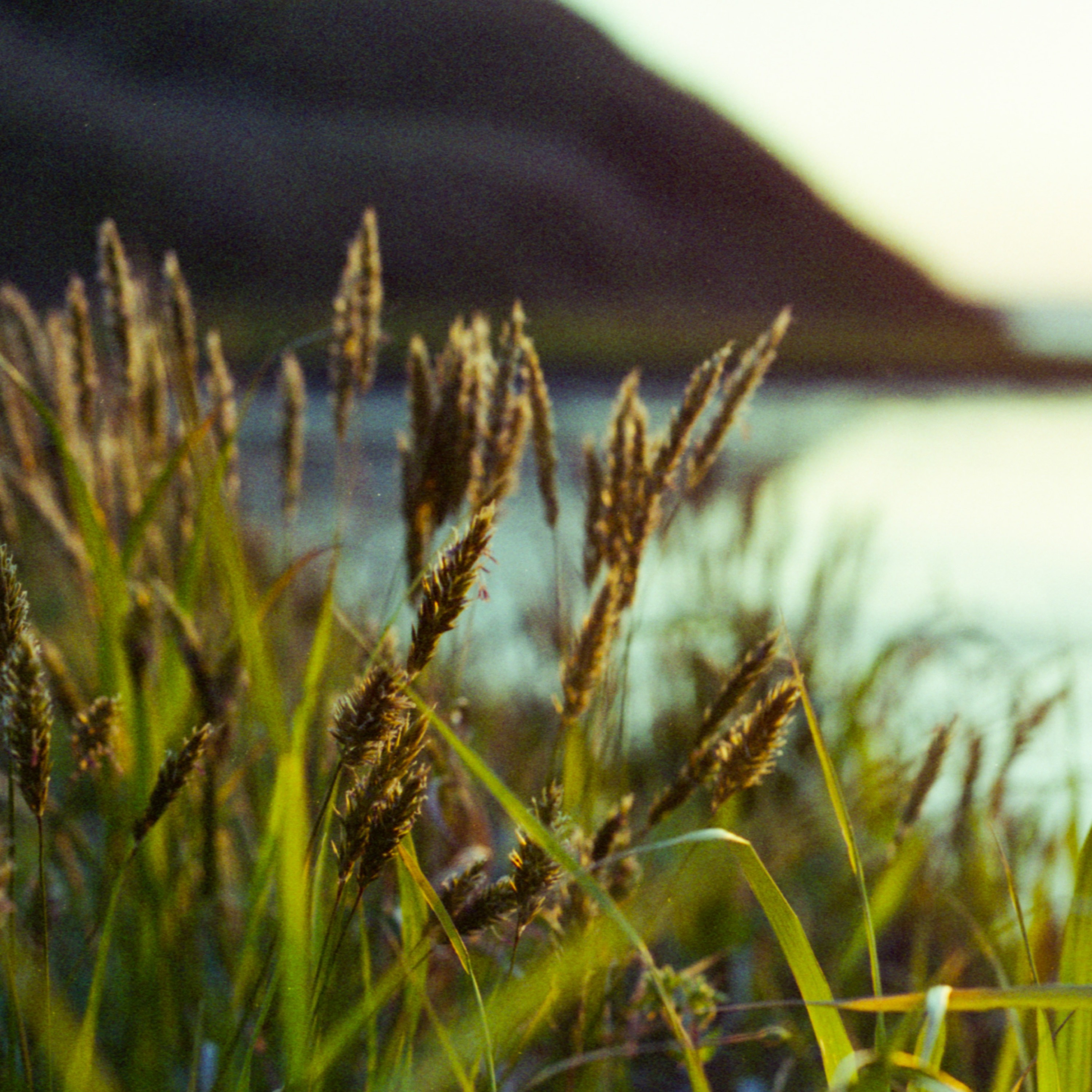 あきたでいきる cover art