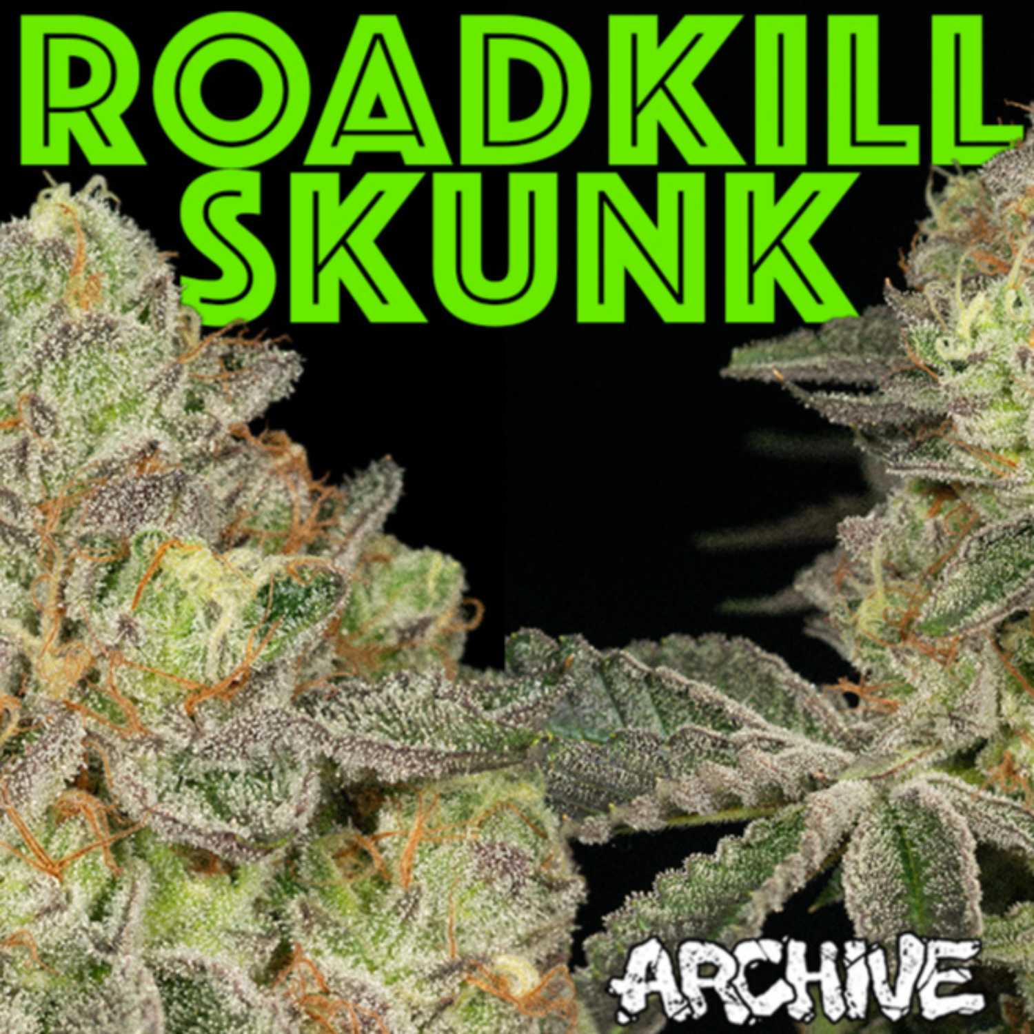 The Legend of Roadkill Skunk episode artwork