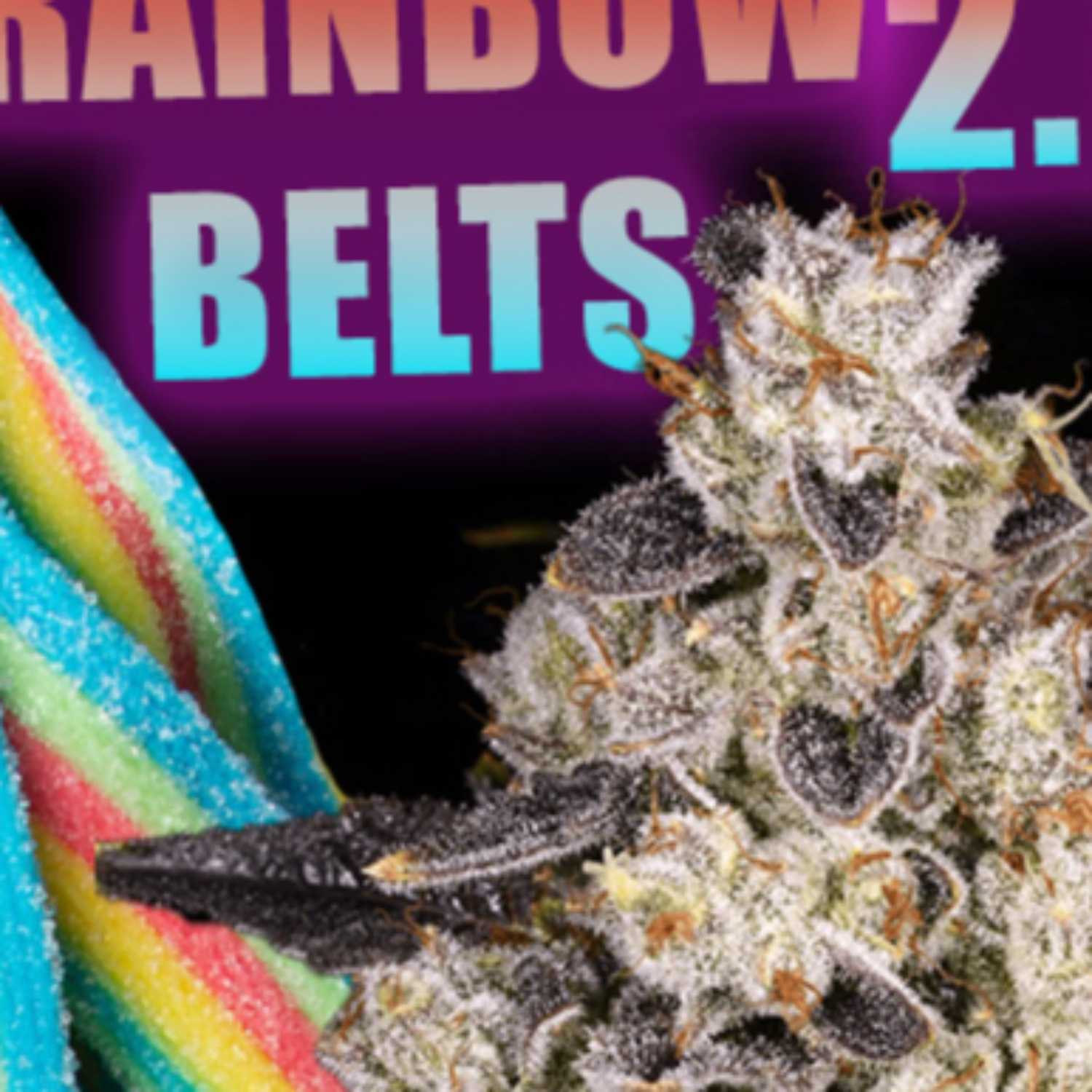 Rainbow Belts 2.0 Sesh w/ Fletch & Shane episode artwork
