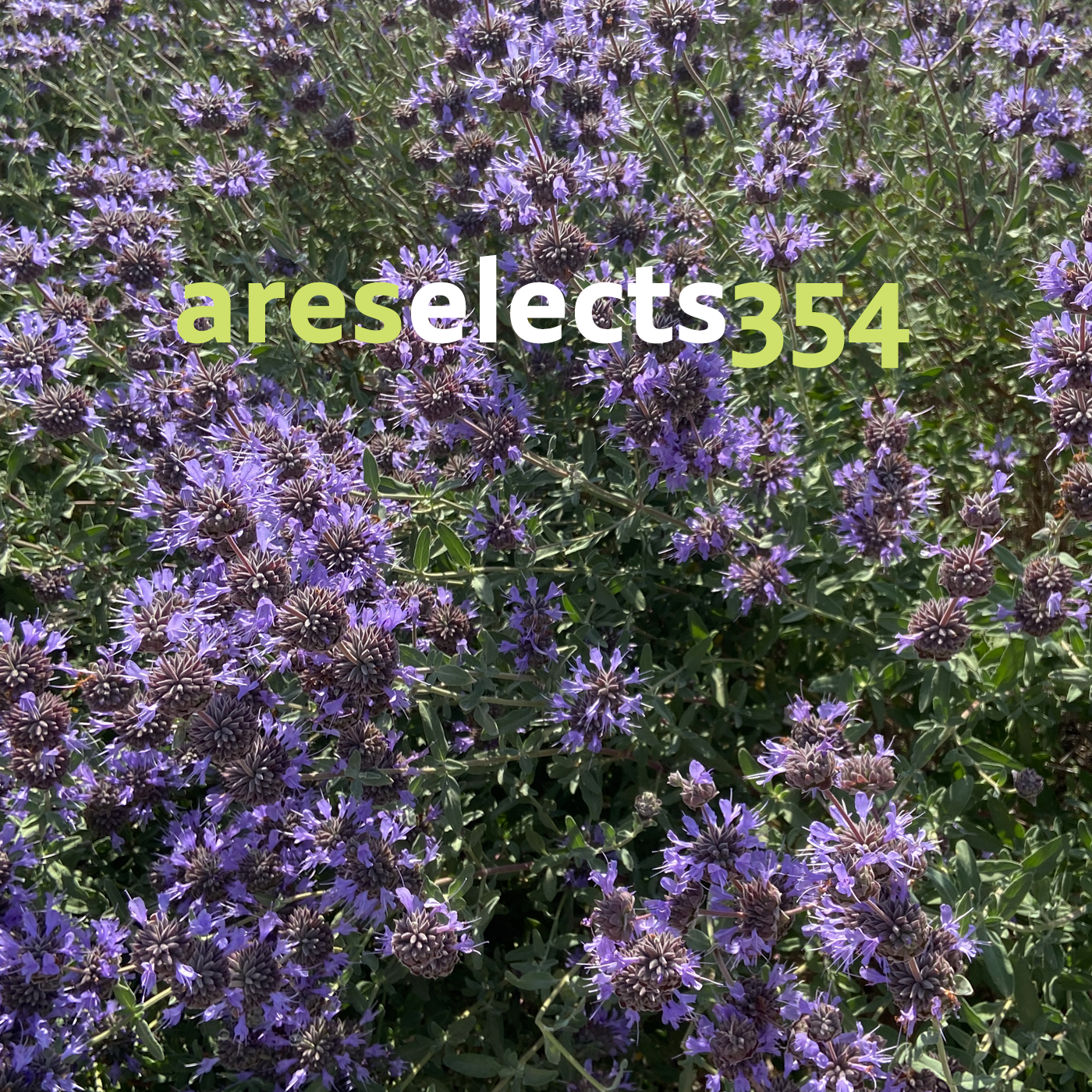 areselects 354 | Rodon fm 95 episode artwork