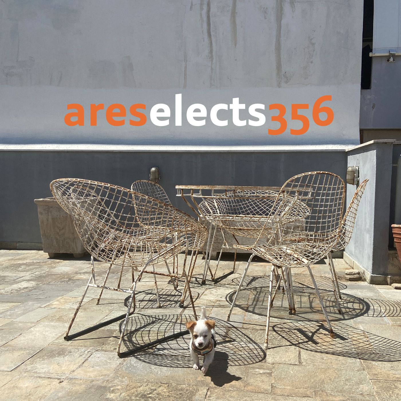 areselects 356 | Rodon fm 95 episode artwork