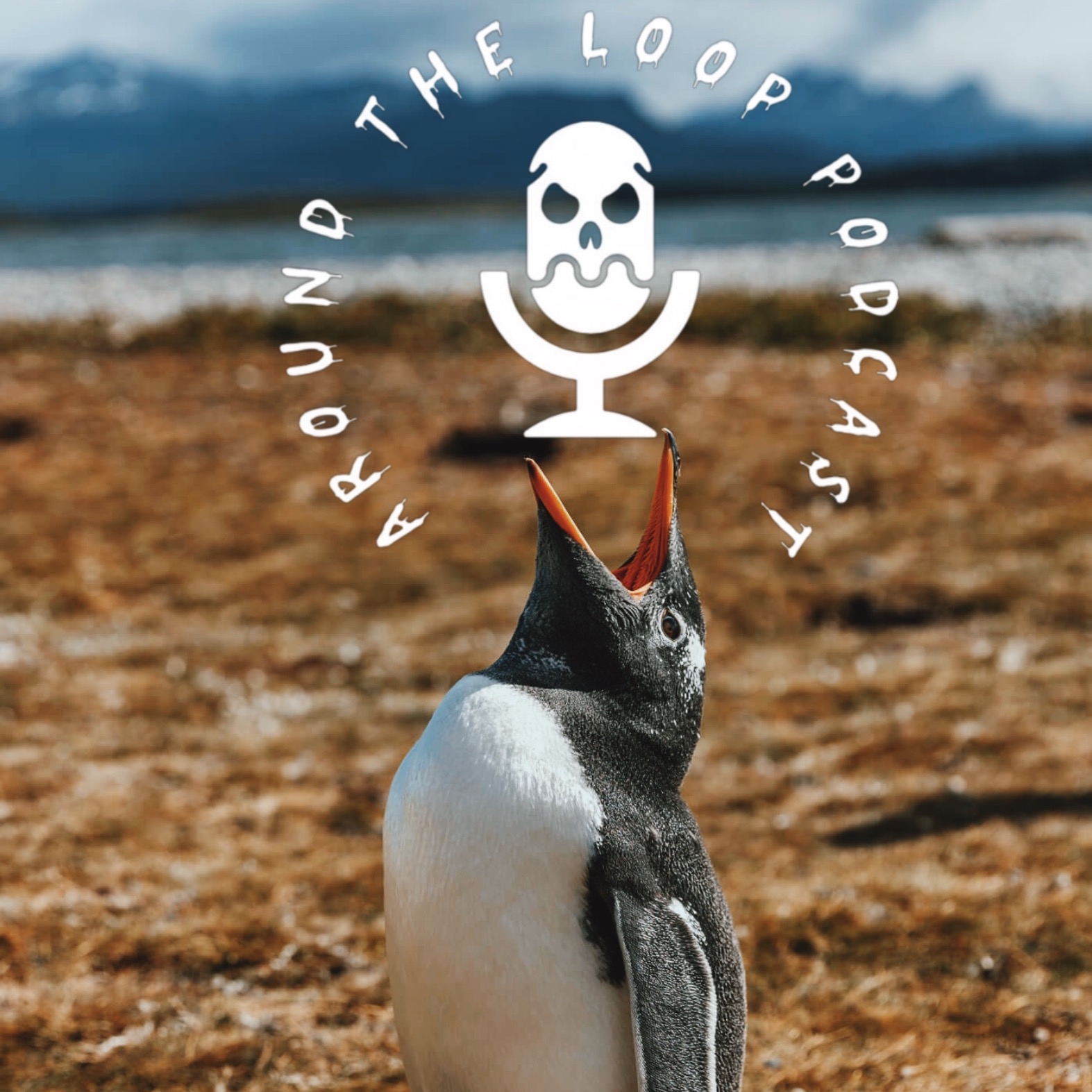 Around The Loop Podcast