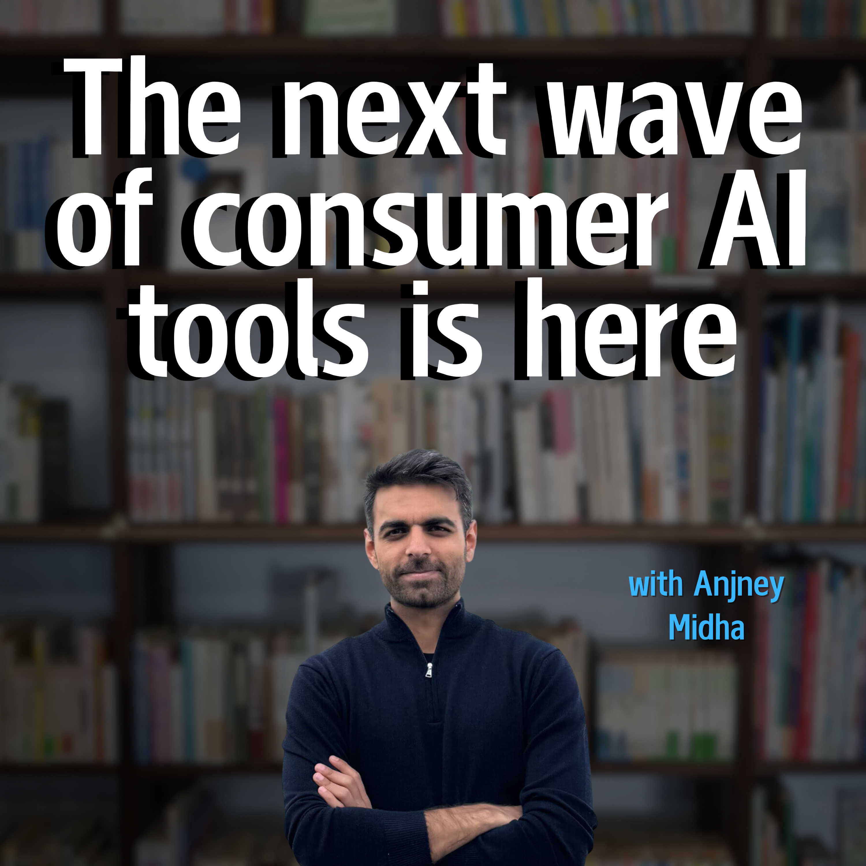 An unfiltered conversation with Anjney Midha, General Partner at A16Z