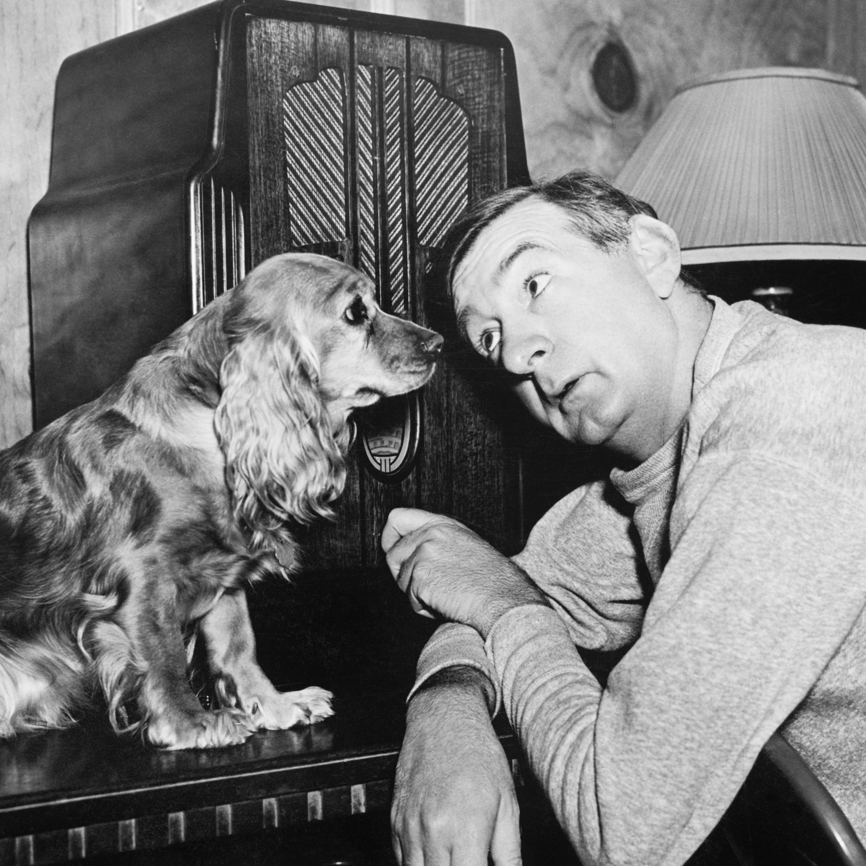 Responsible Dog Ownership