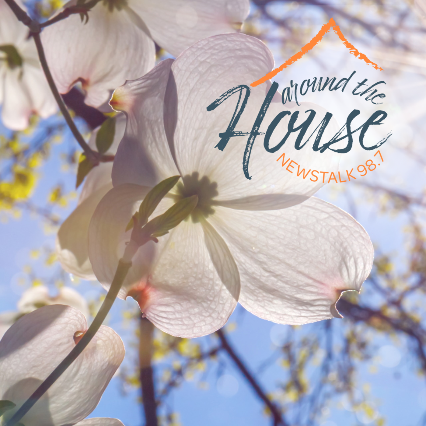 Dogwood Arts House and Garden Show Preview, pt 2