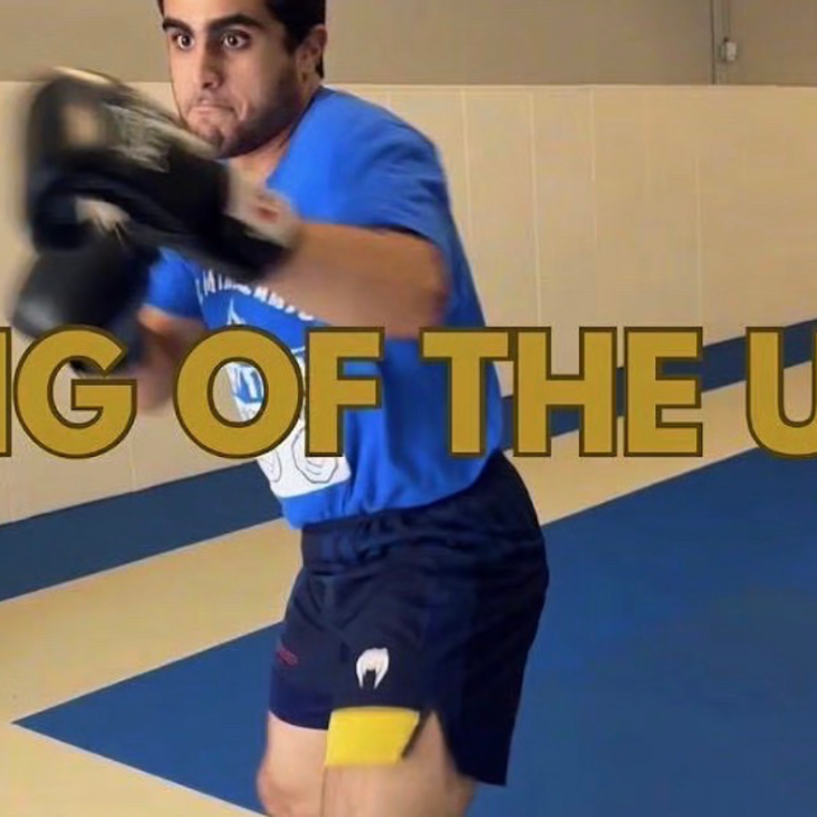 Dominating the UFC: Fight Camp Log episode artwork