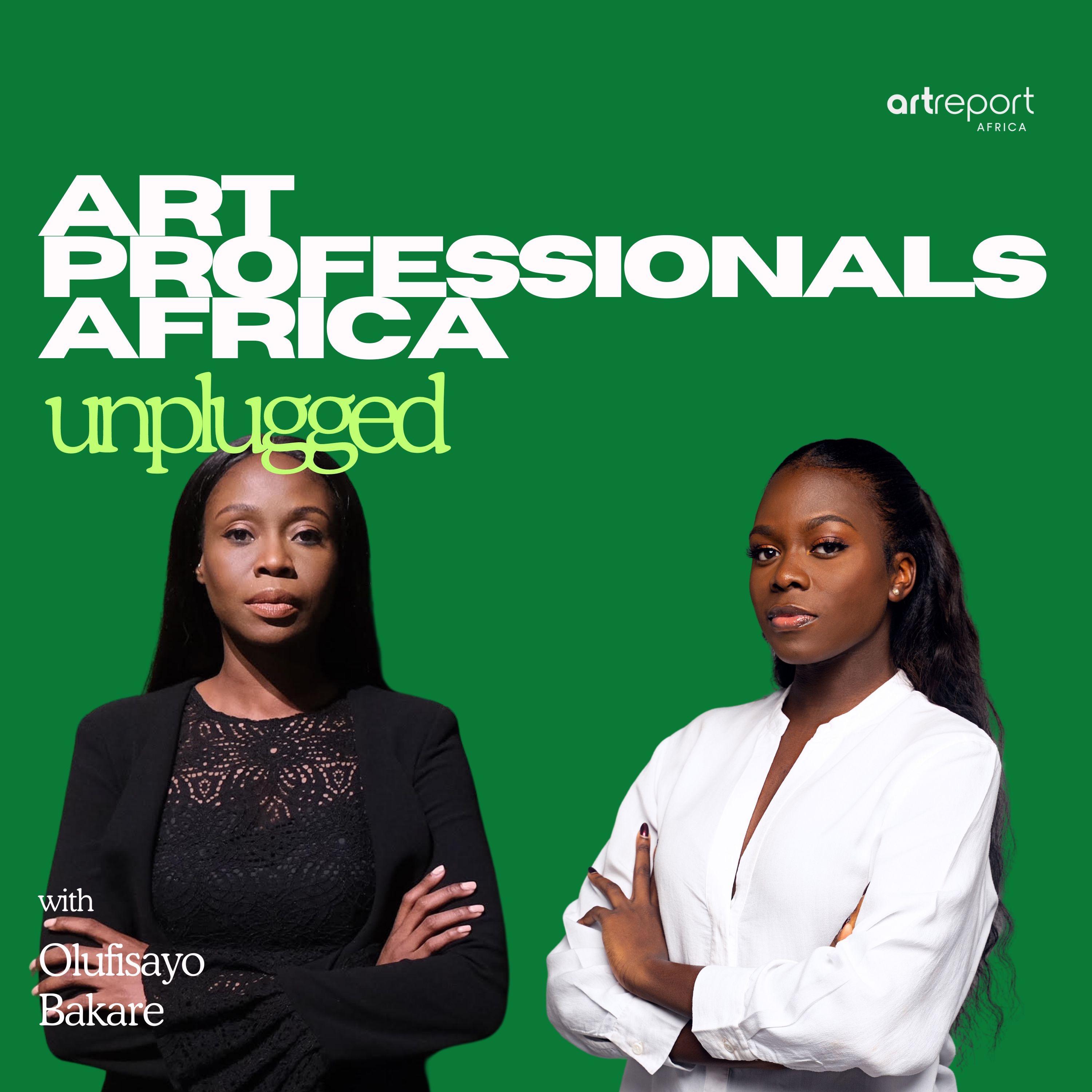 Art Professionals Africa Unplugged