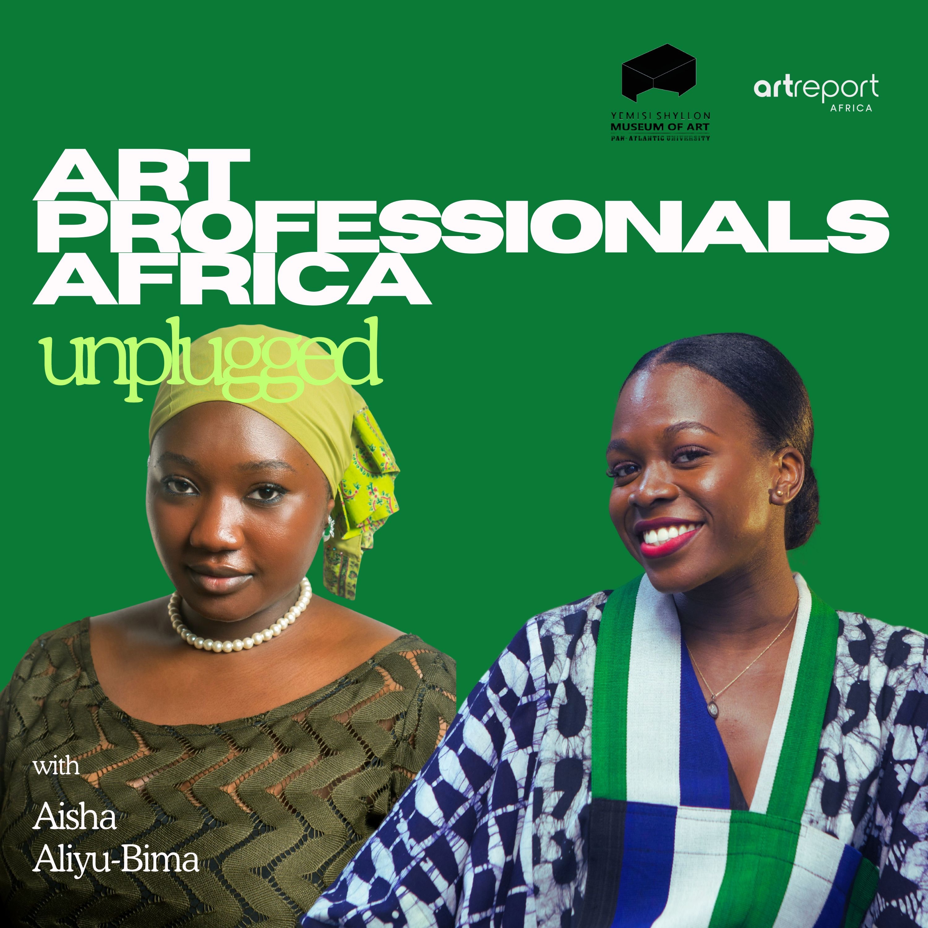 Art Professionals Africa Unplugged