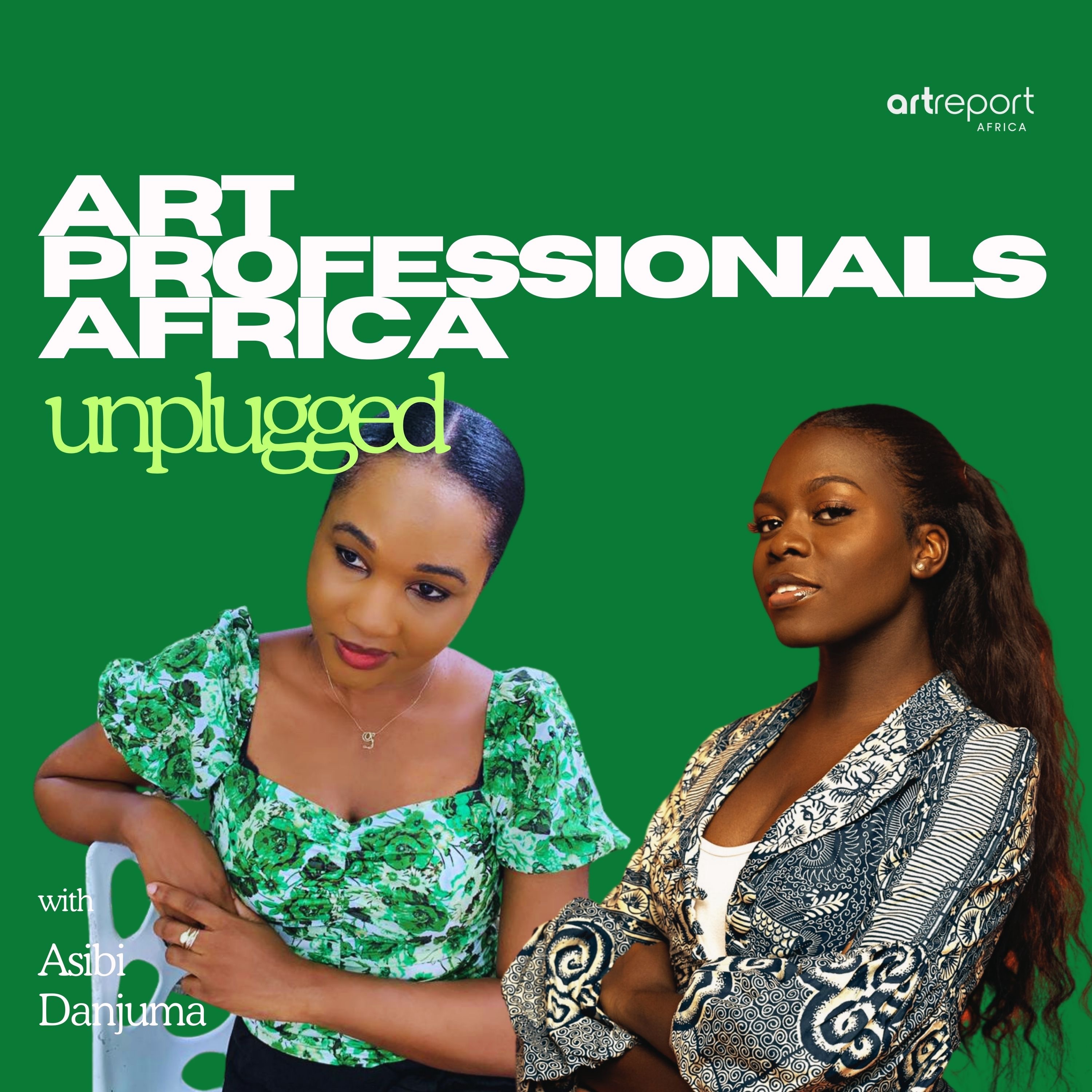 Art Professionals Africa Unplugged