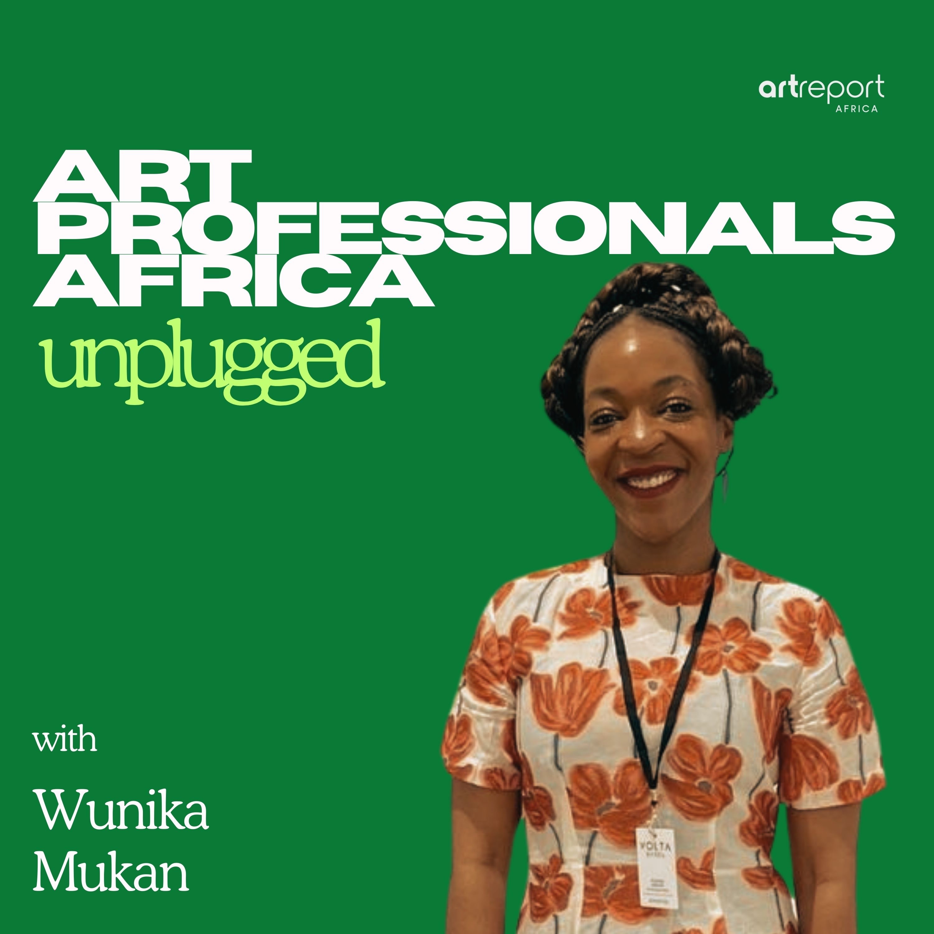 Art Professionals Africa Unplugged
