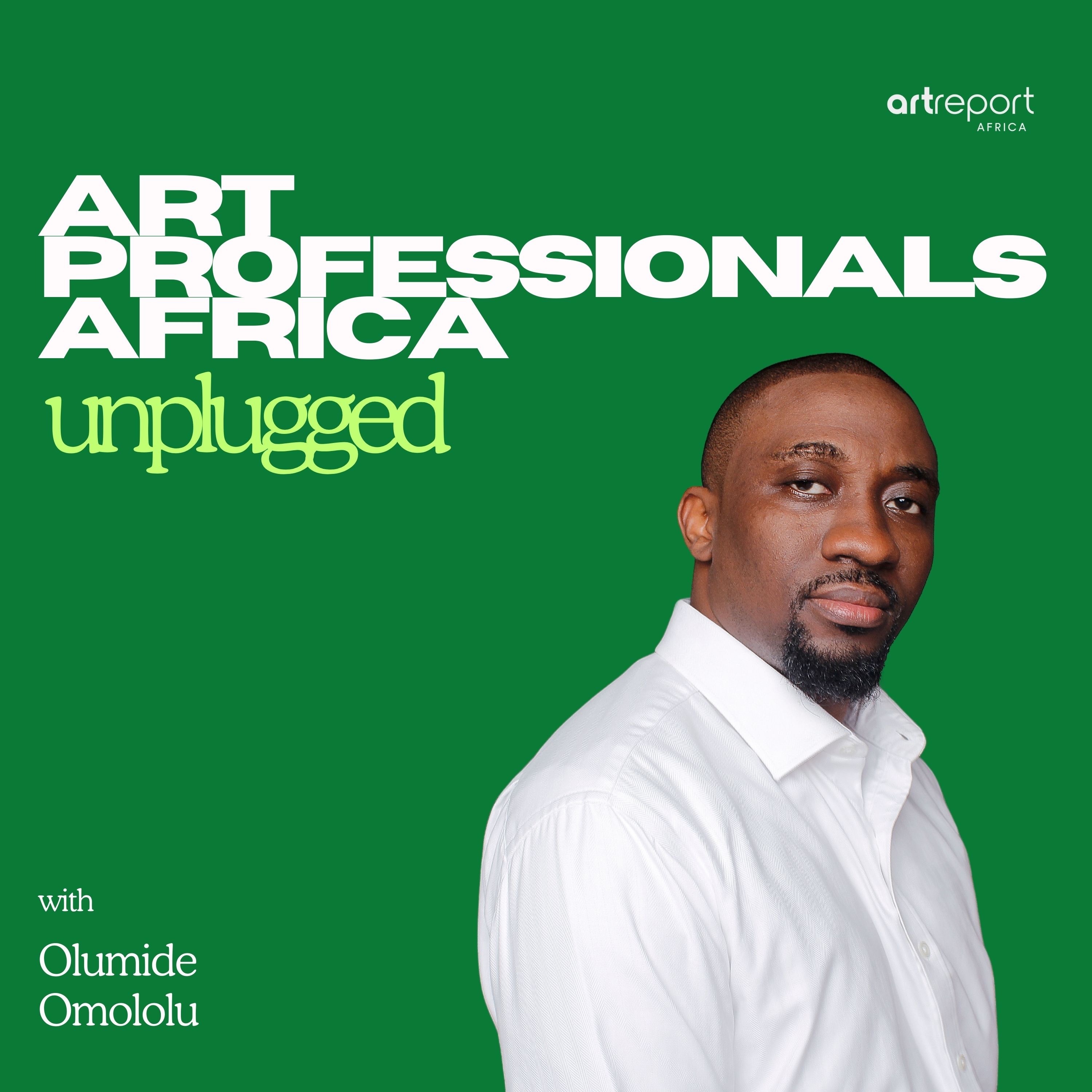 Art Professionals Africa Unplugged