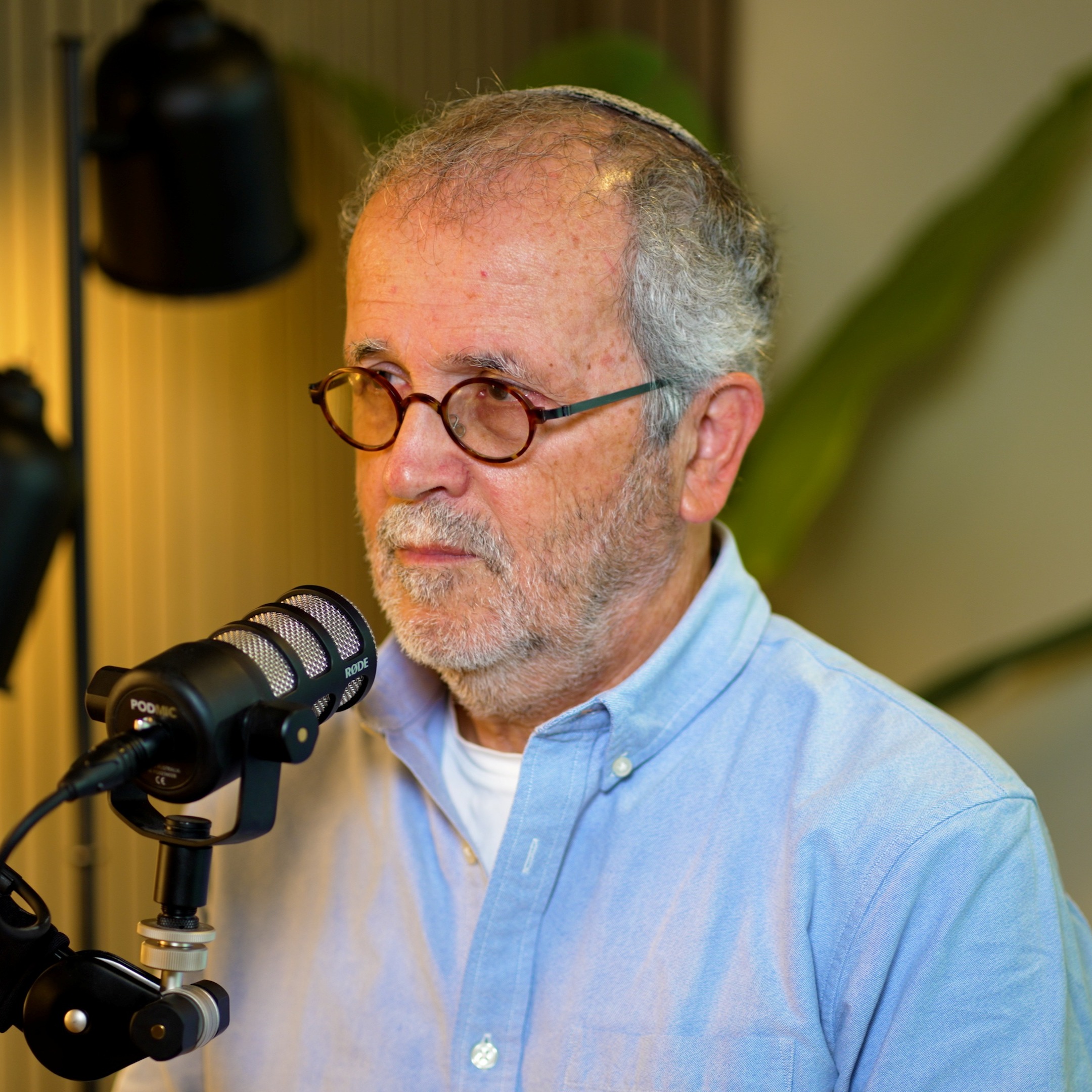 פרופ' שטרן אופטימי: יש מוצא מהמשבר | חוקה רזה - פודקאסט מיוחד בערוץ 7