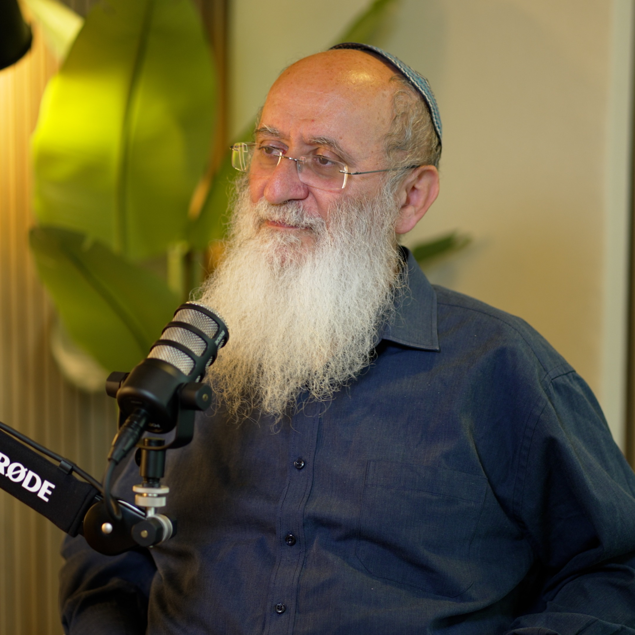 פודקאסט 'חוקה רזה' | הרב אורי שרקי מפרק את אשליית החירות הליברלית episode artwork